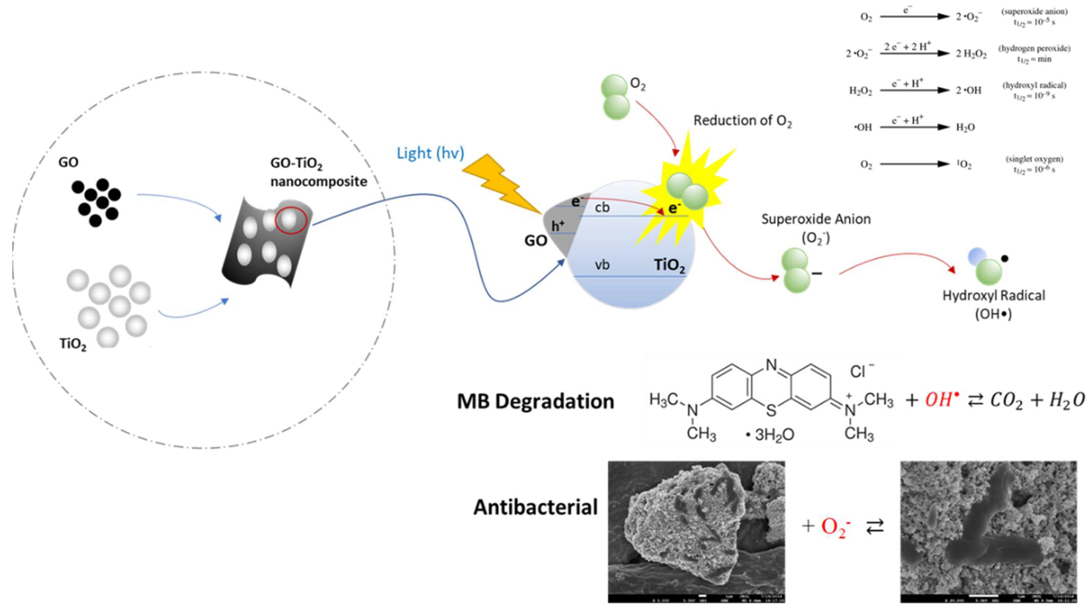Catalysts 13 01313 g011