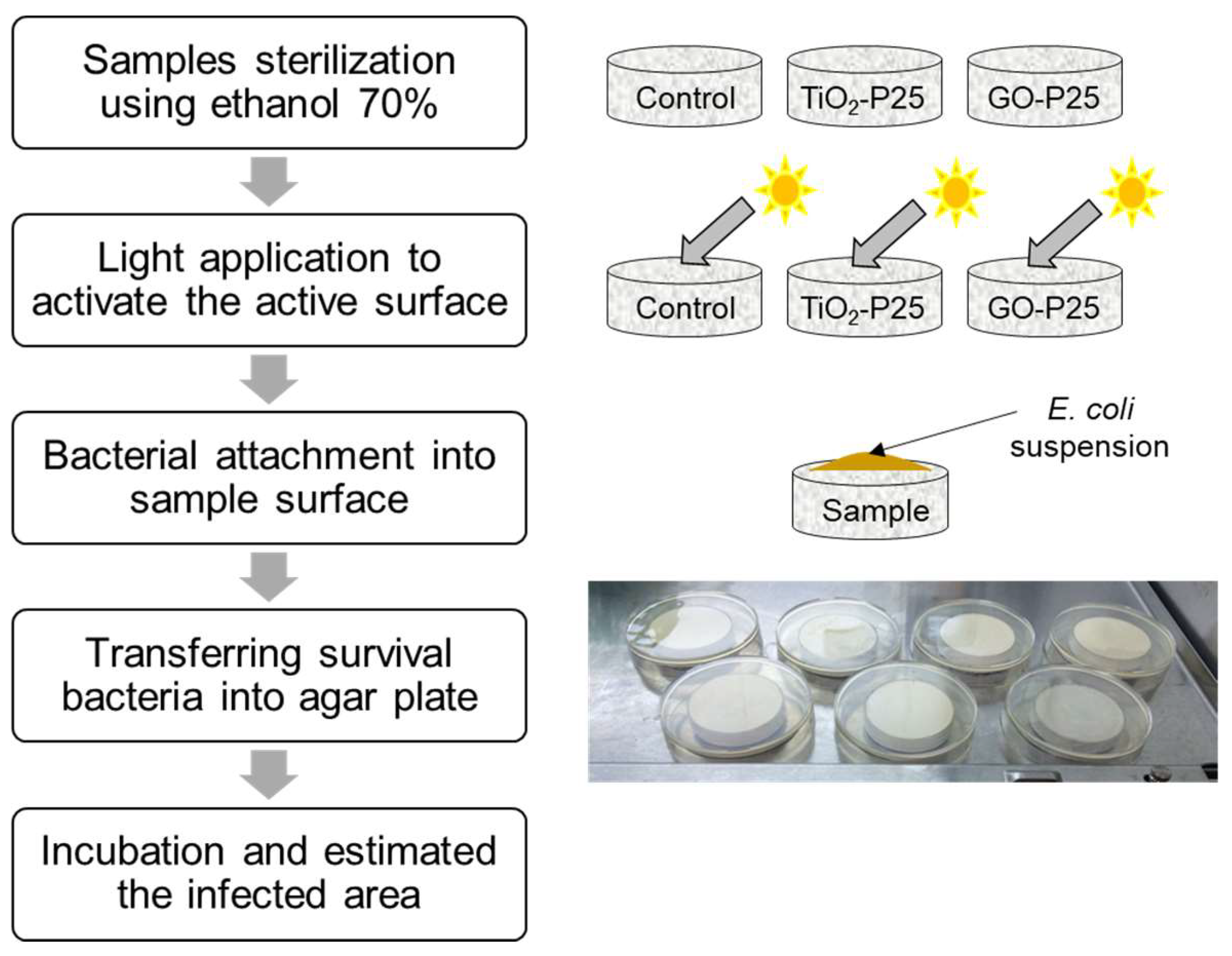 Catalysts 13 01313 g012
