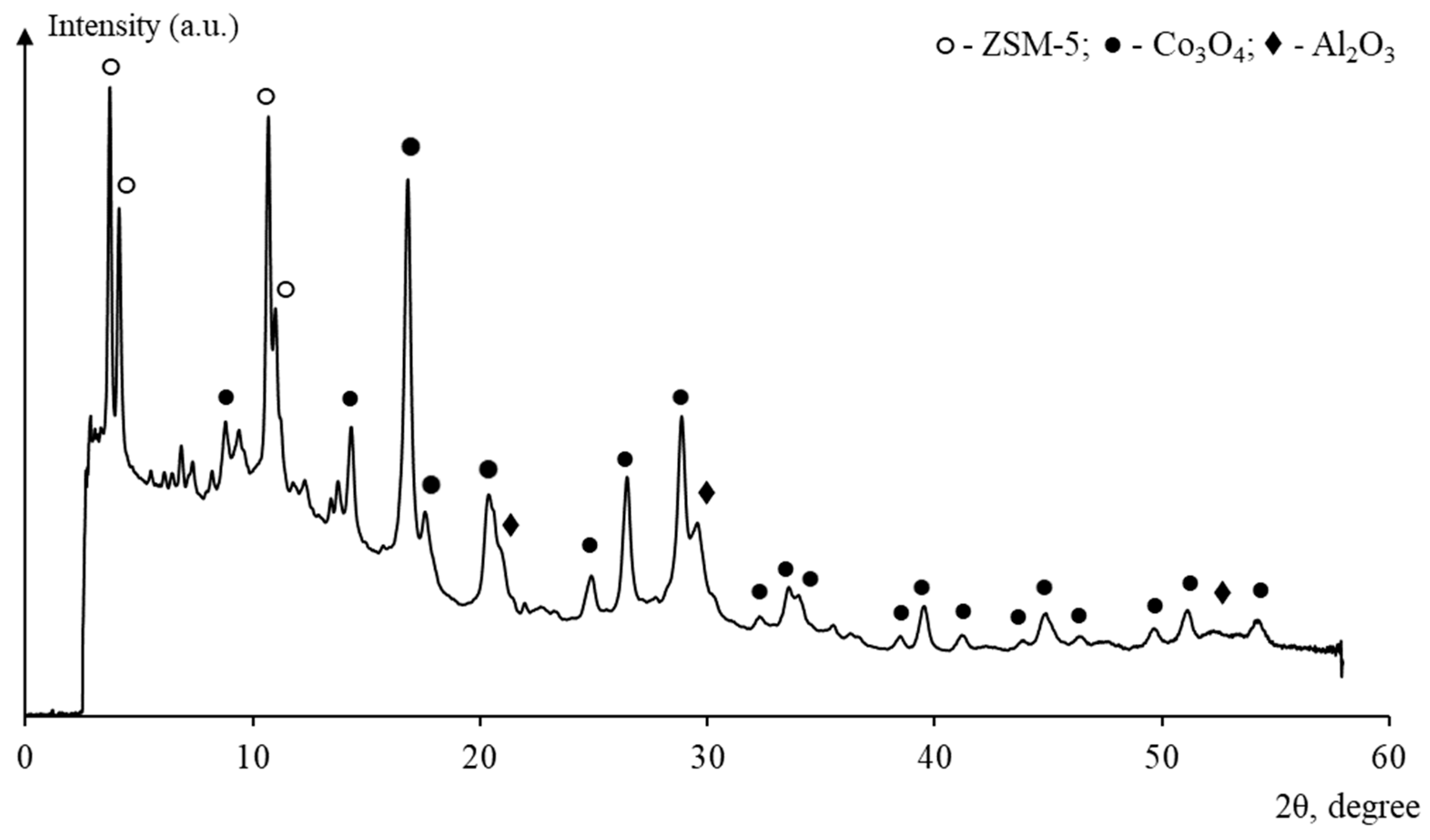 Catalysts 13 01314 g001