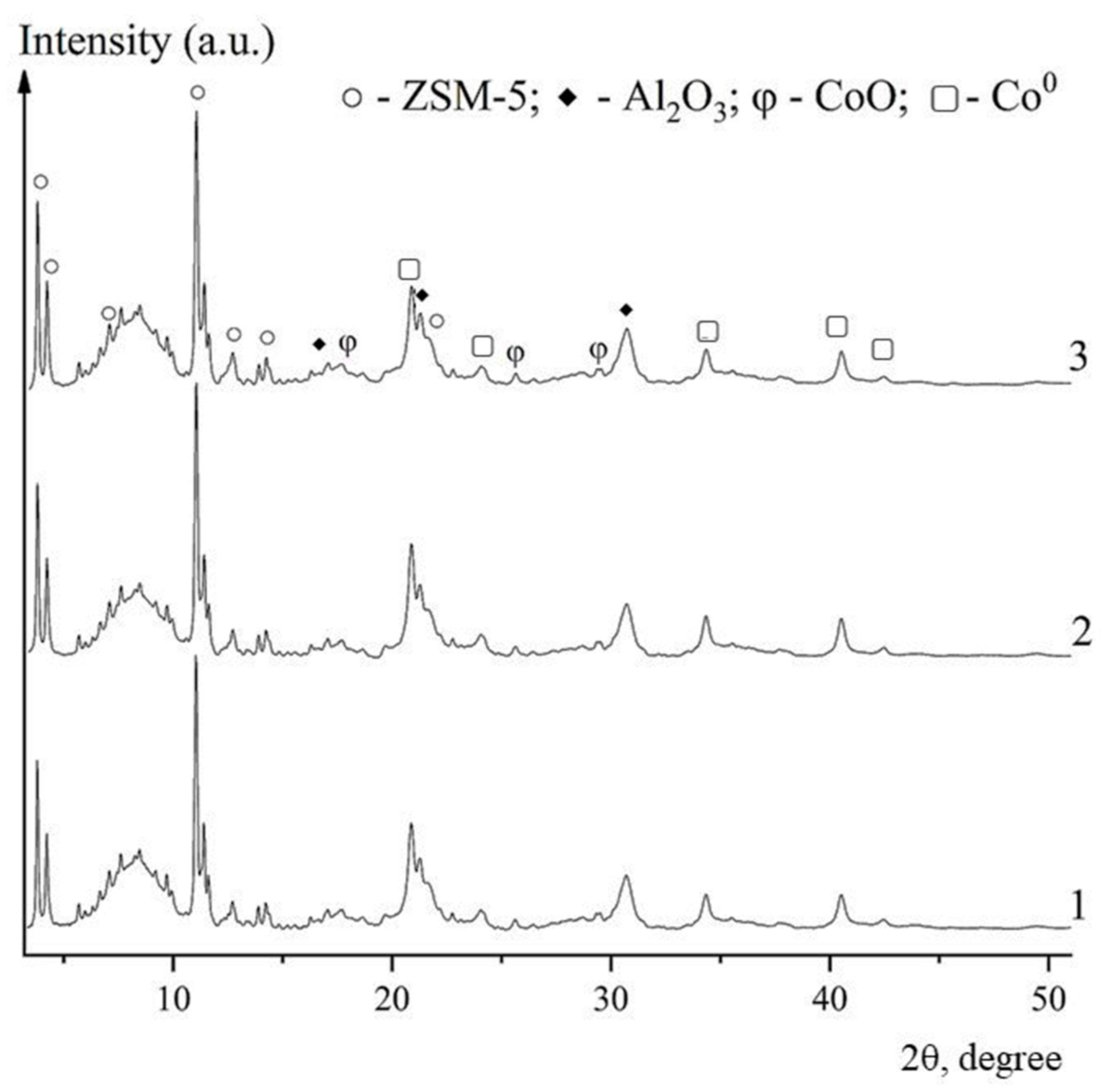 Catalysts 13 01314 g009