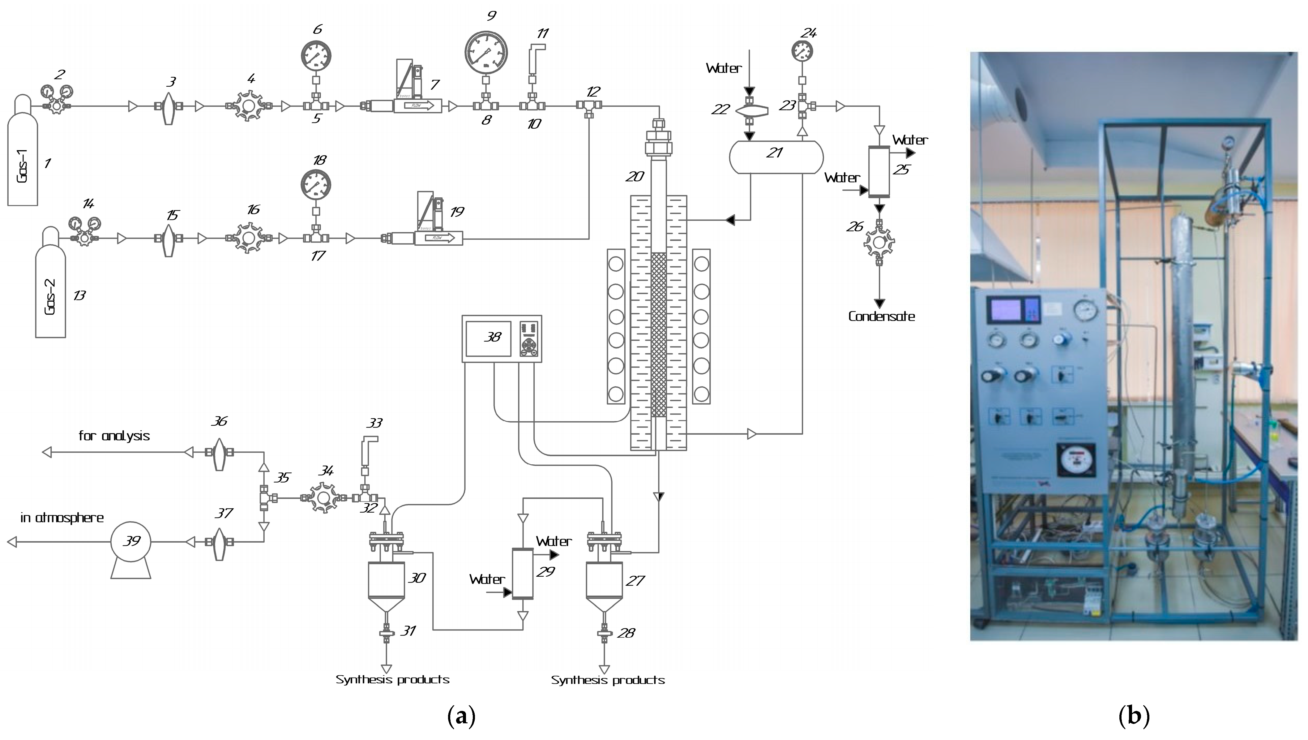 Catalysts 13 01314 g010