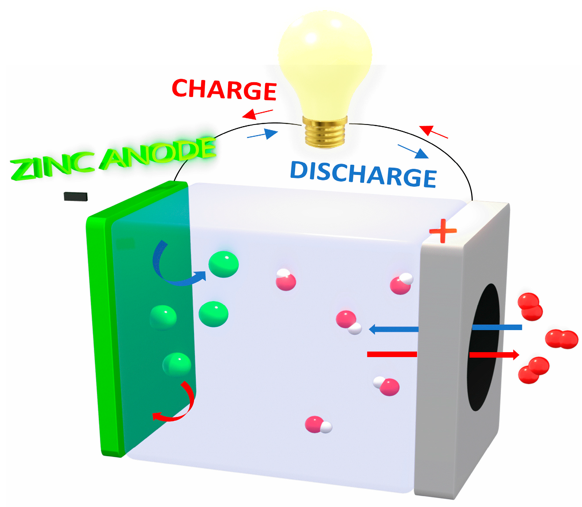 Catalysts 13 01319 g001