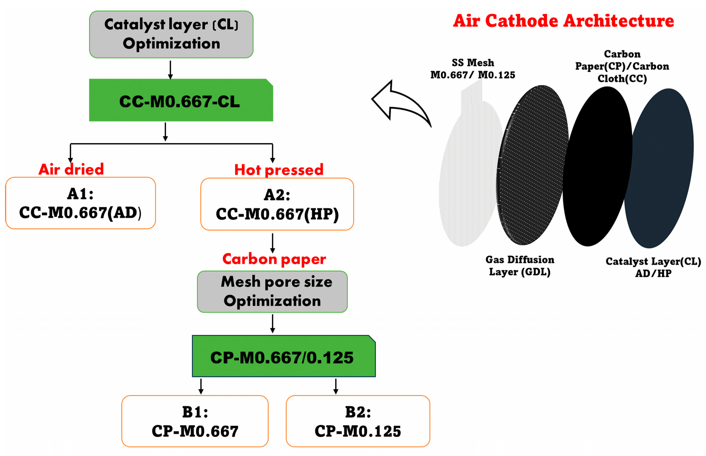 Catalysts 13 01319 g002