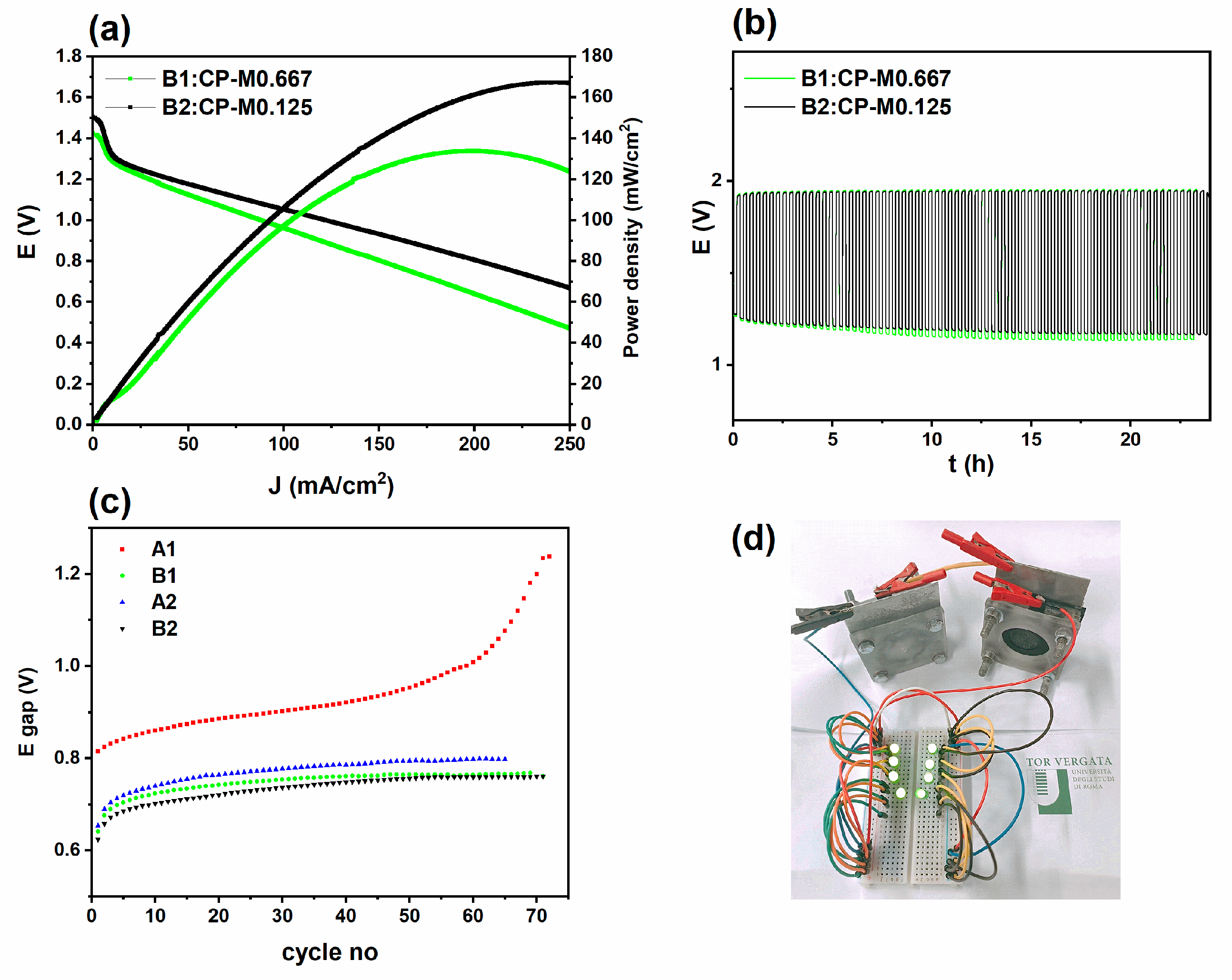 Catalysts 13 01319 g005