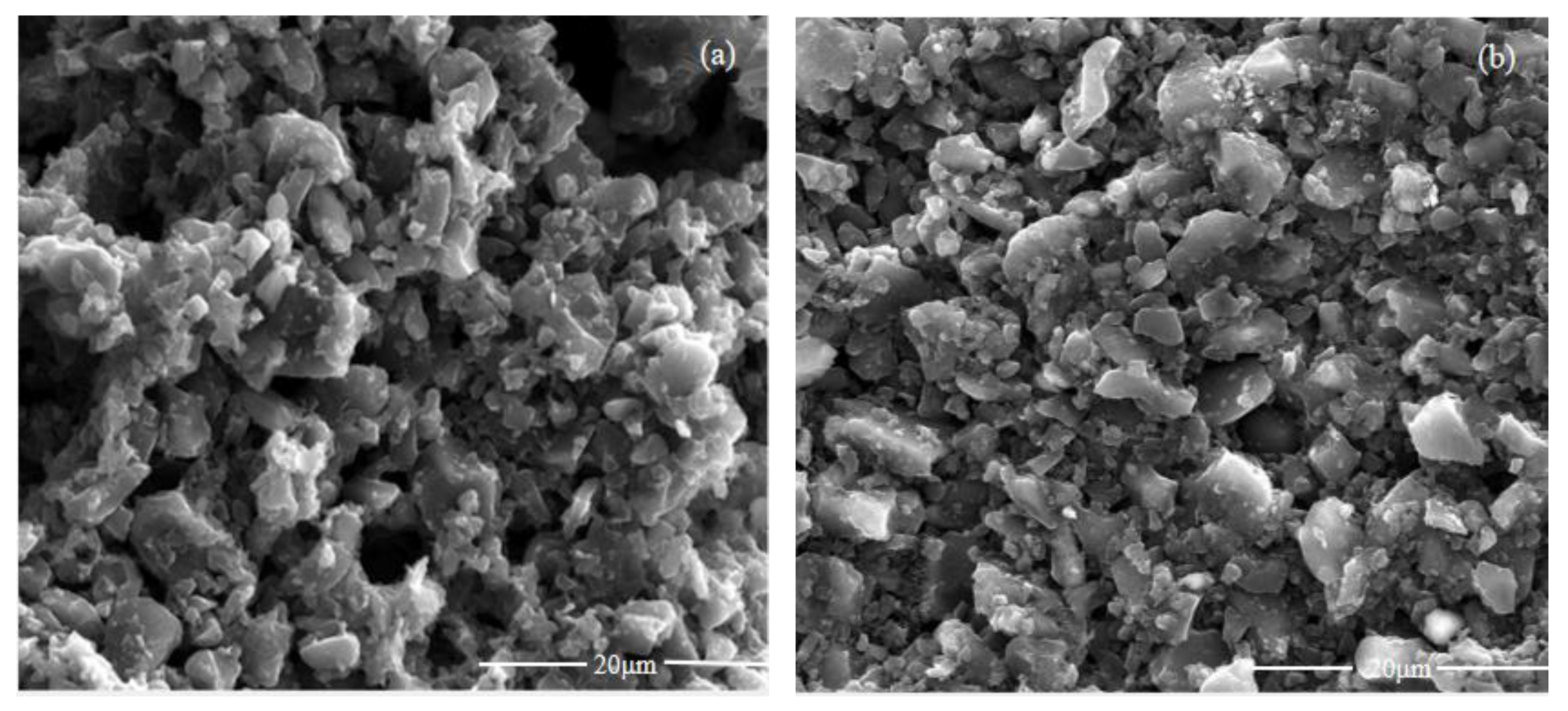 Catalysts 13 01321 g002
