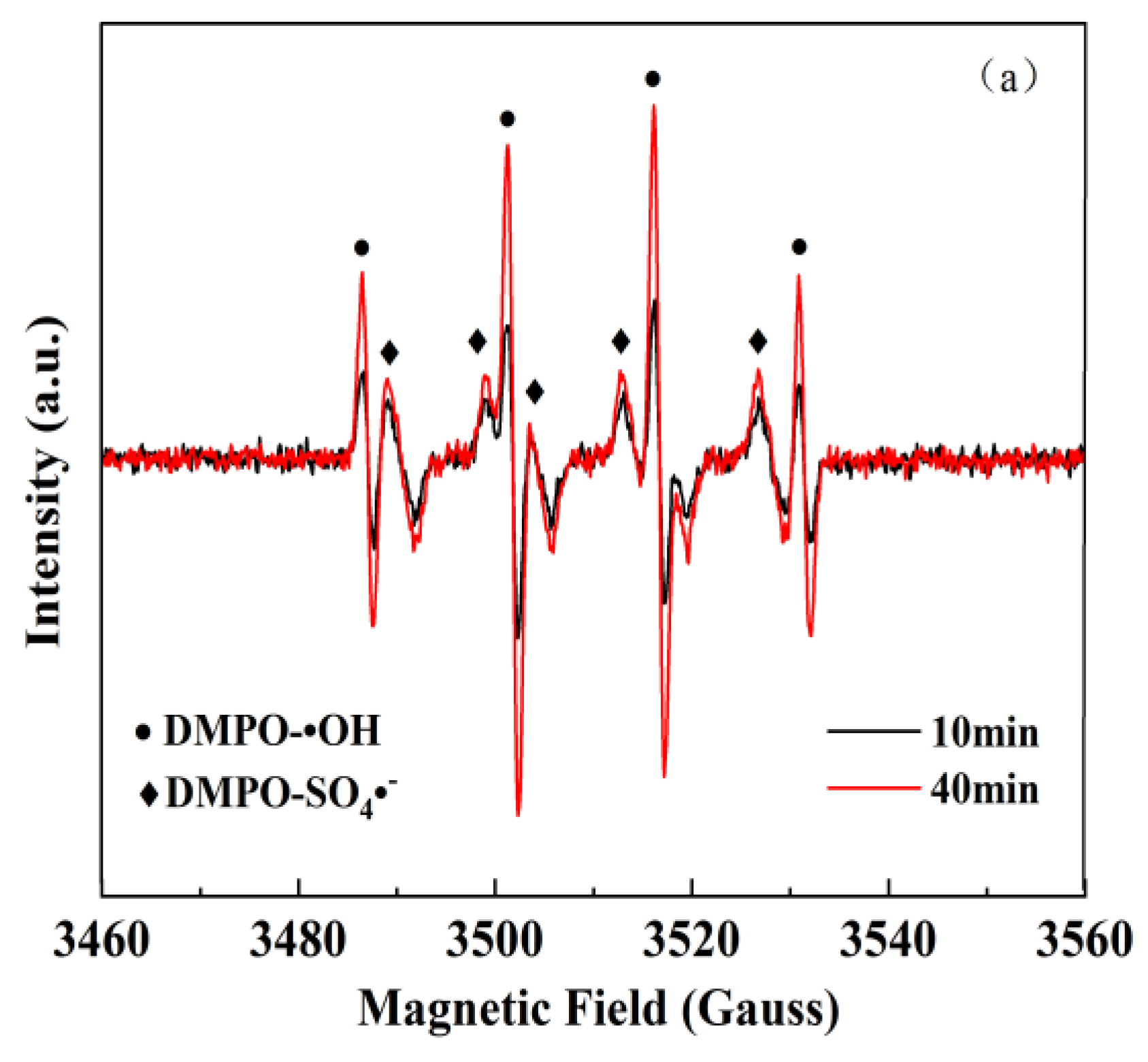 Catalysts 13 01321 g004a