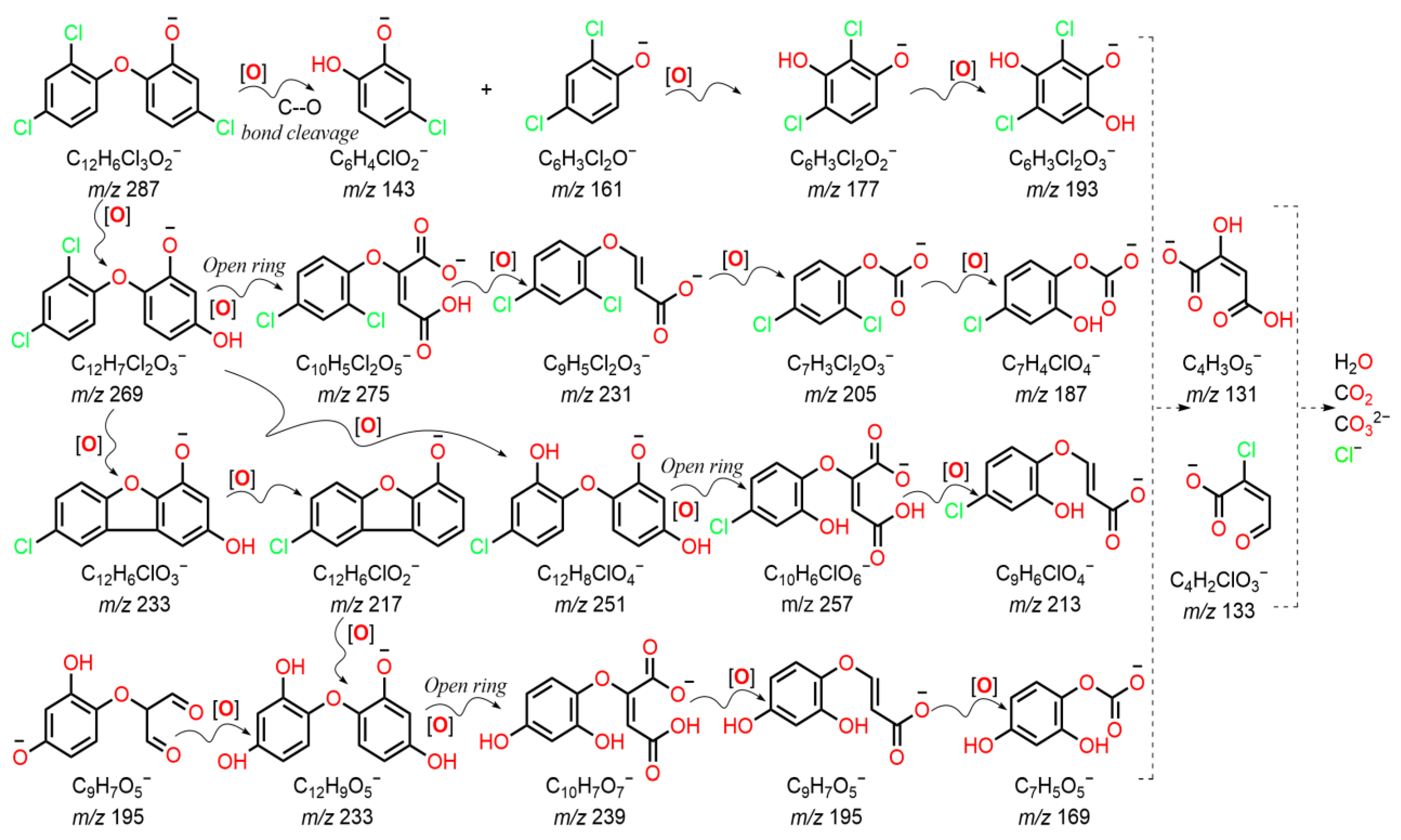 Catalysts 13 01321 g007