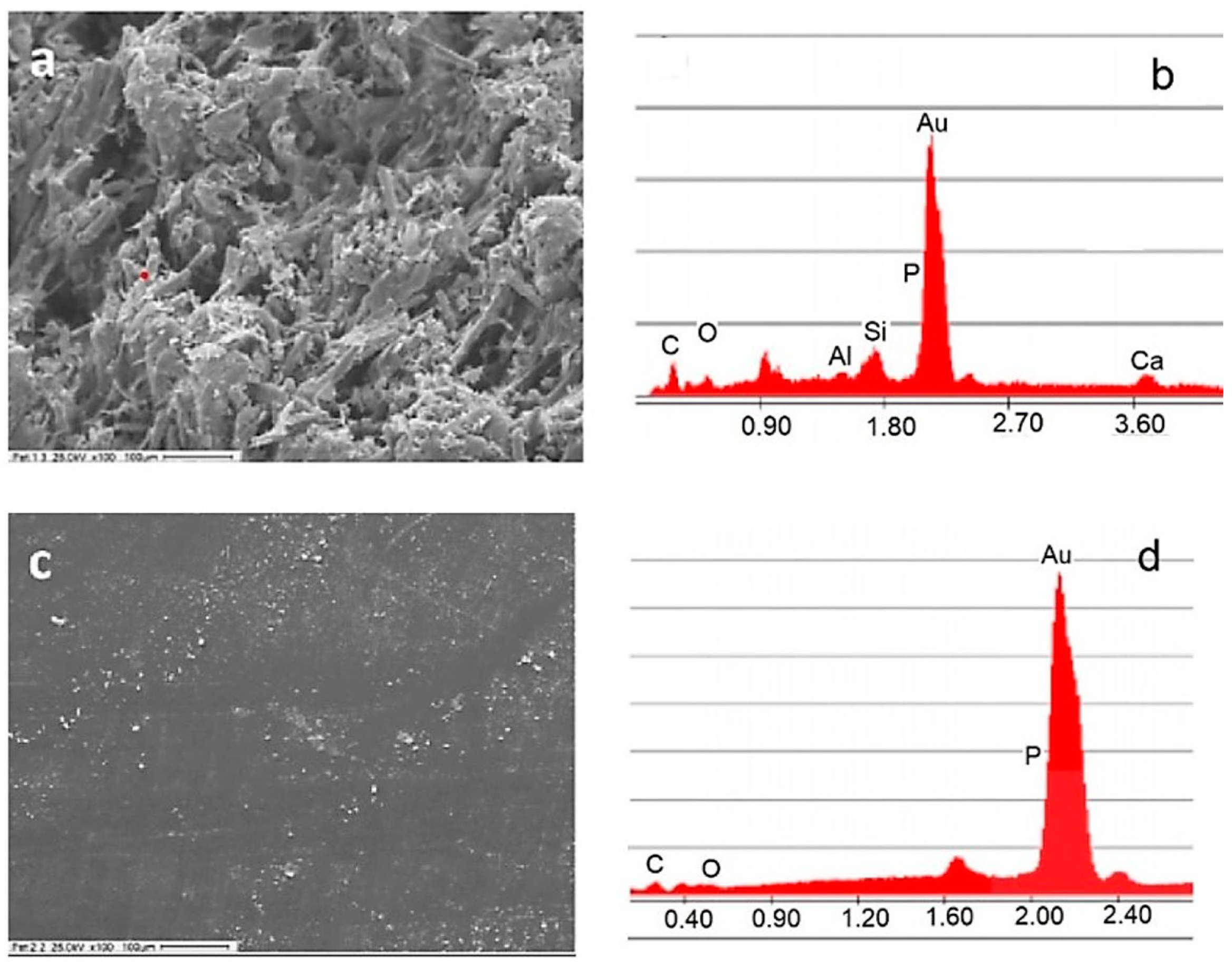 Catalysts 13 01324 g001