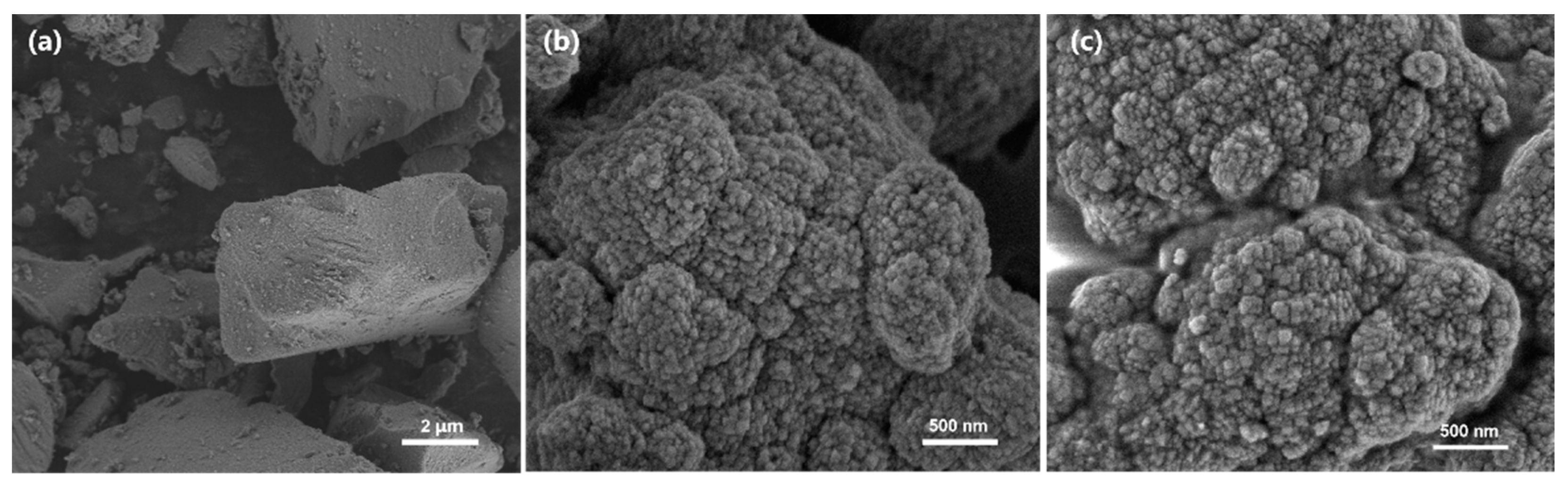 Catalysts 13 01327 g006