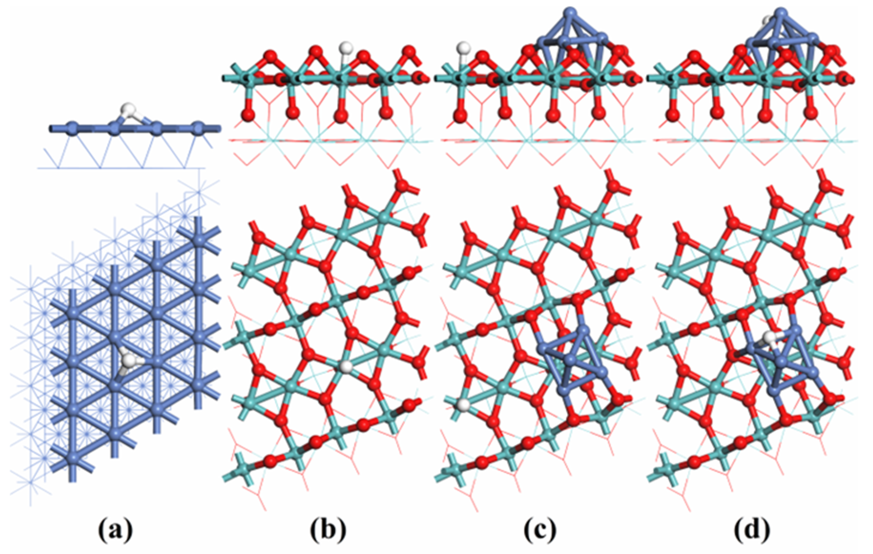 Catalysts 13 01329 g011 Catalysts 13 01329 g011