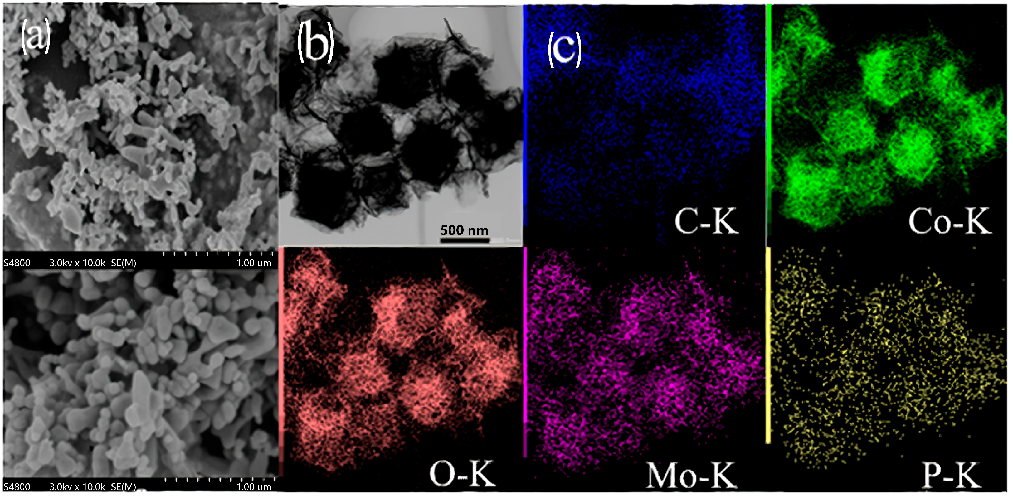 Catalysts 13 01339 g006