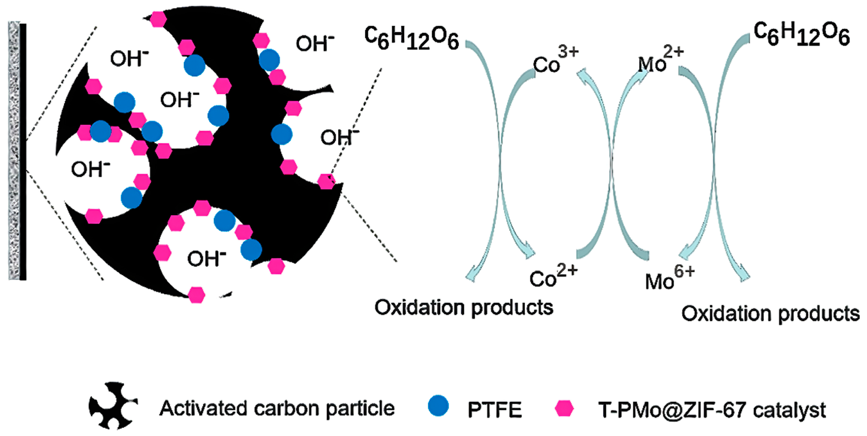 Catalysts 13 01339 g009