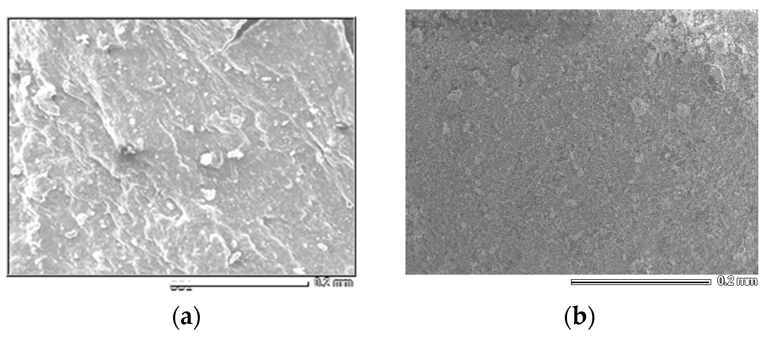 Catalysts 13 01352 g008