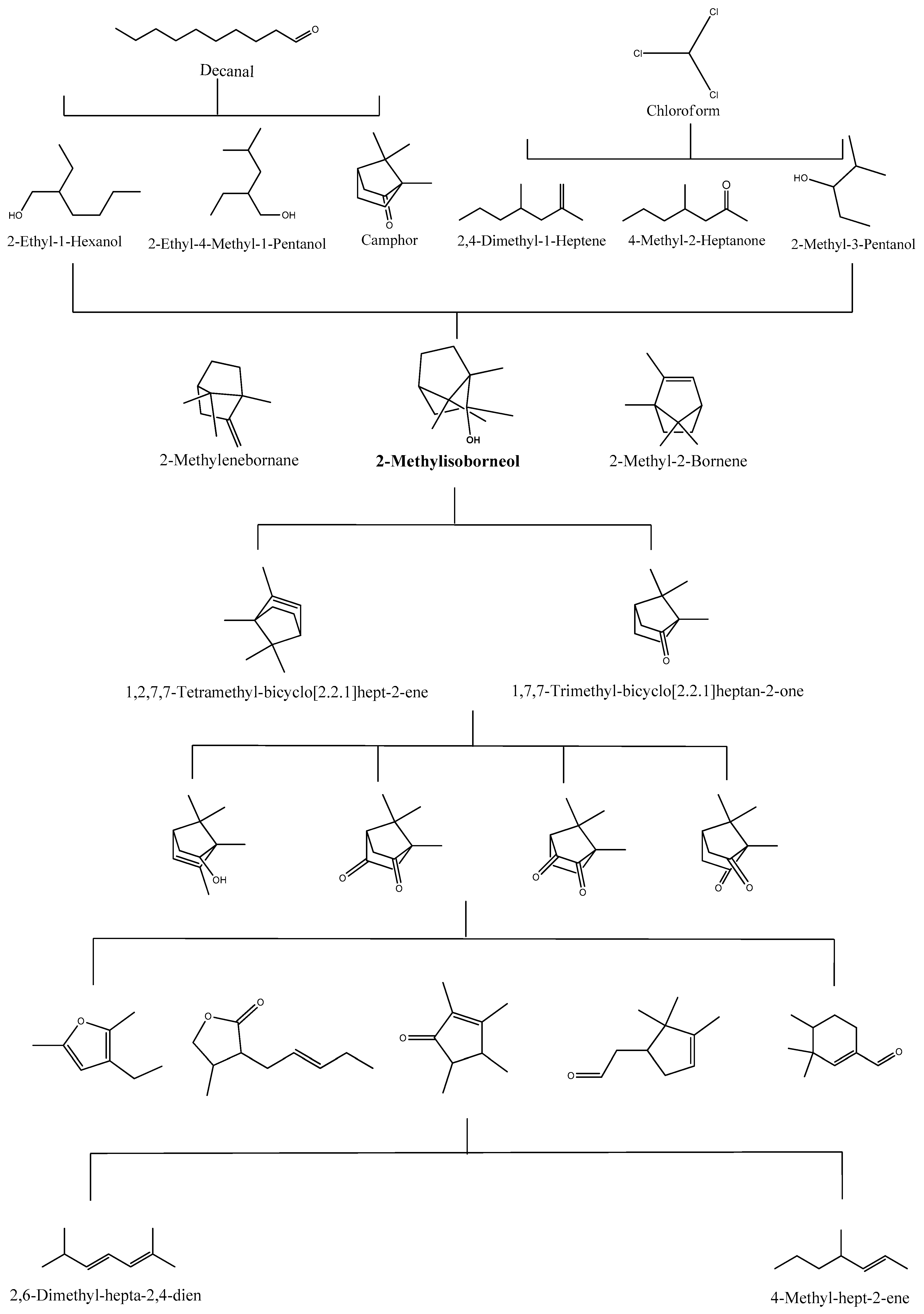 Catalysts 13 01356 g001