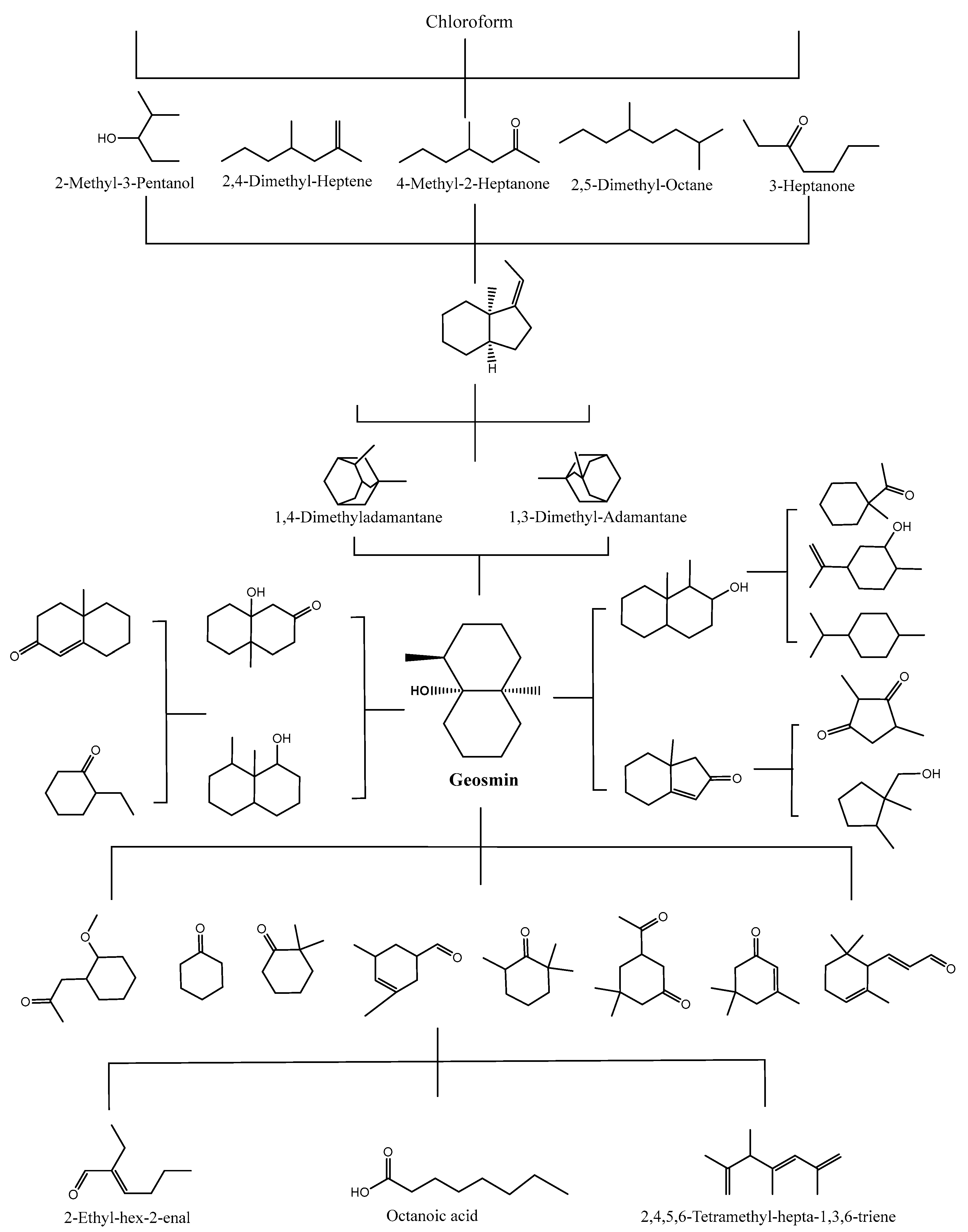 Catalysts 13 01356 g002