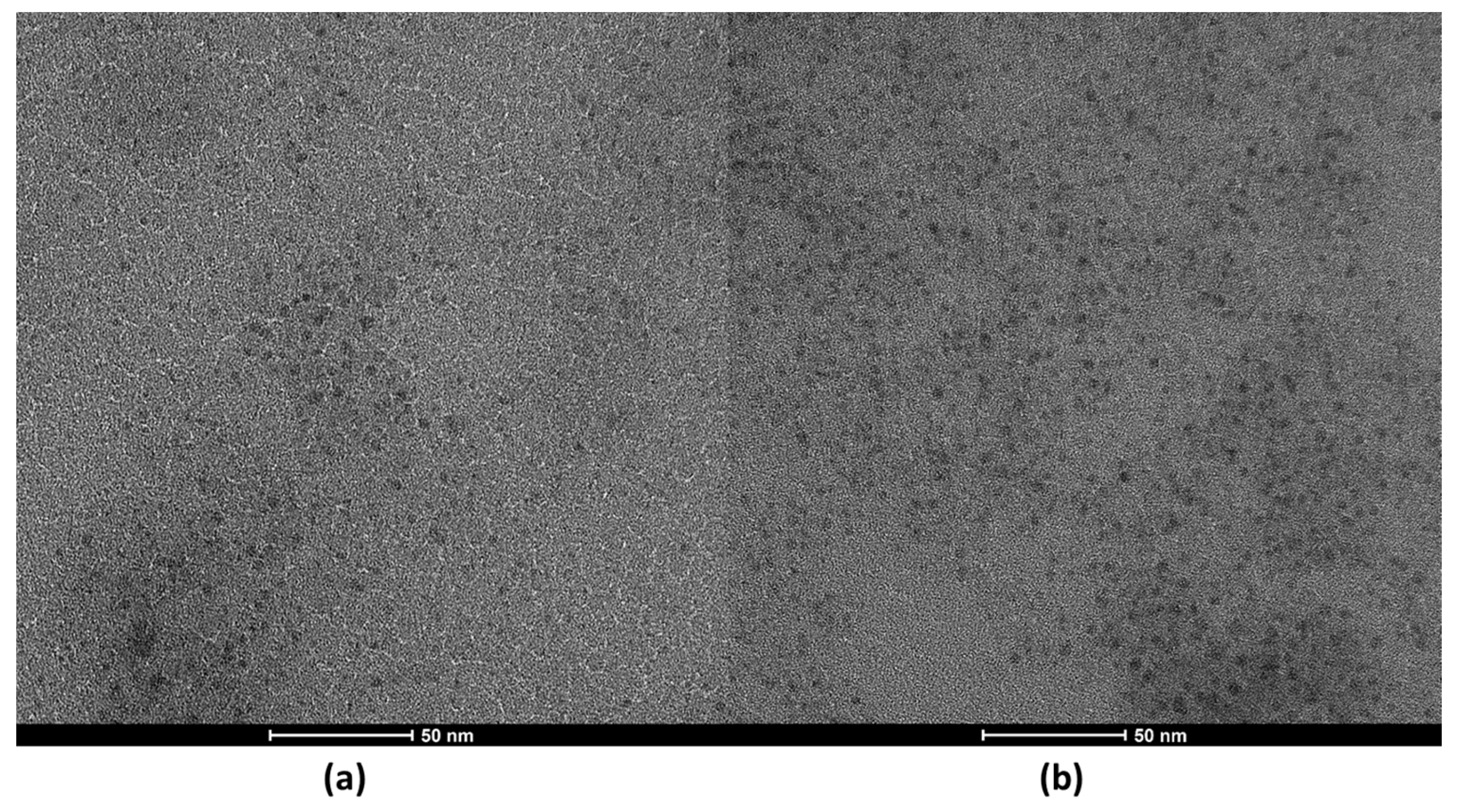 Catalysts 13 01358 g001