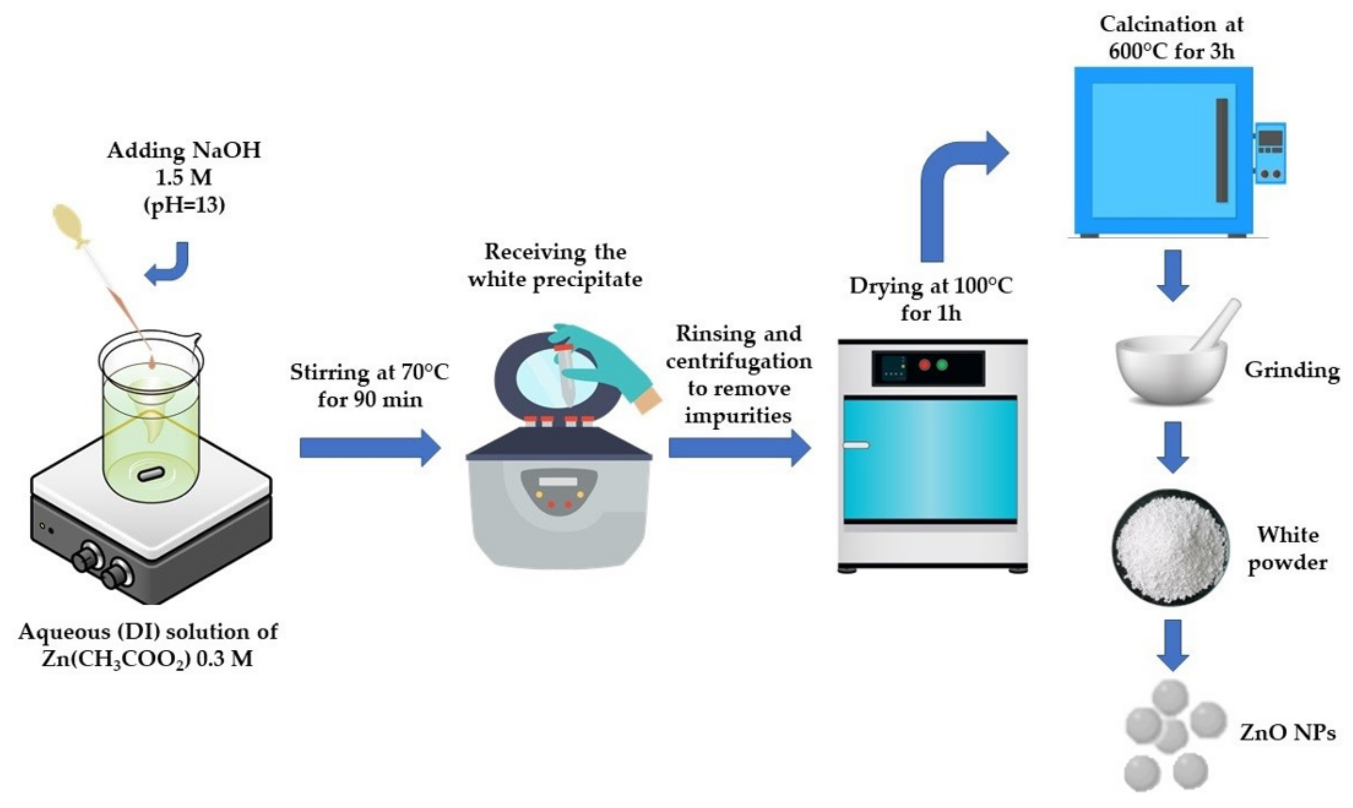Catalysts 13 01367 g010