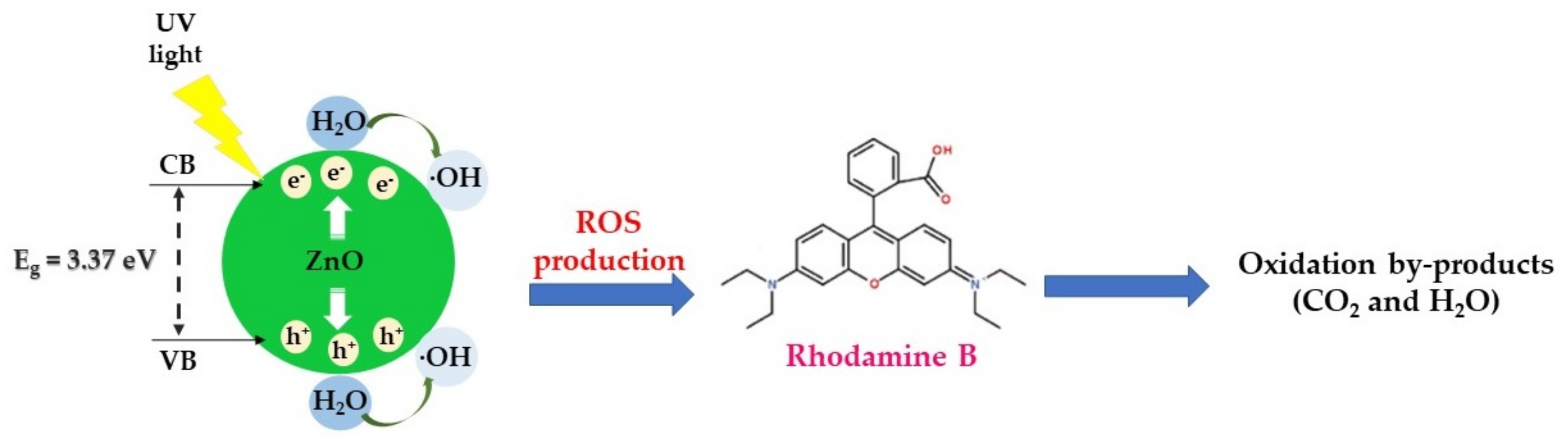 Catalysts 13 01367 g022