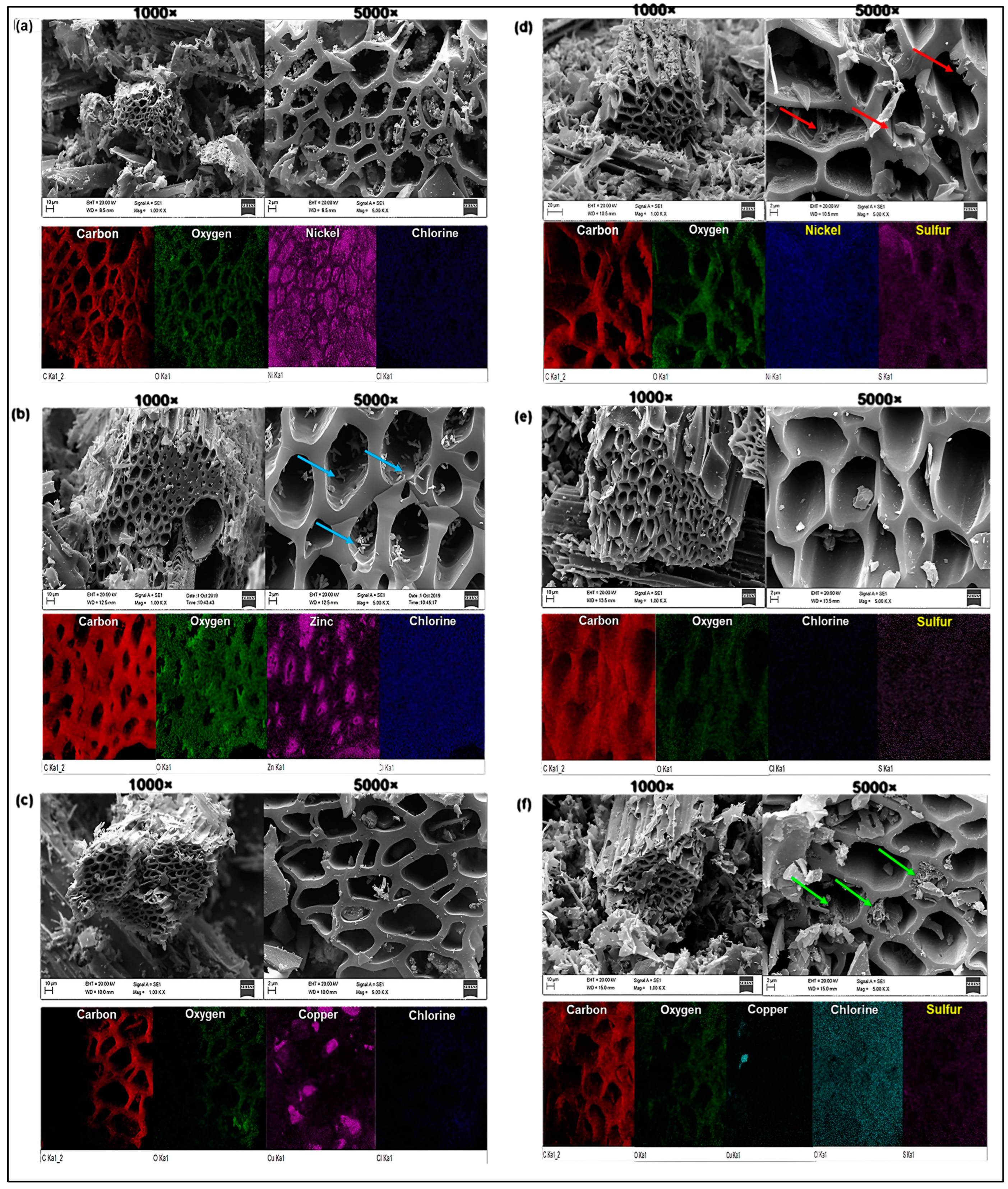 Catalysts 13 01372 g002