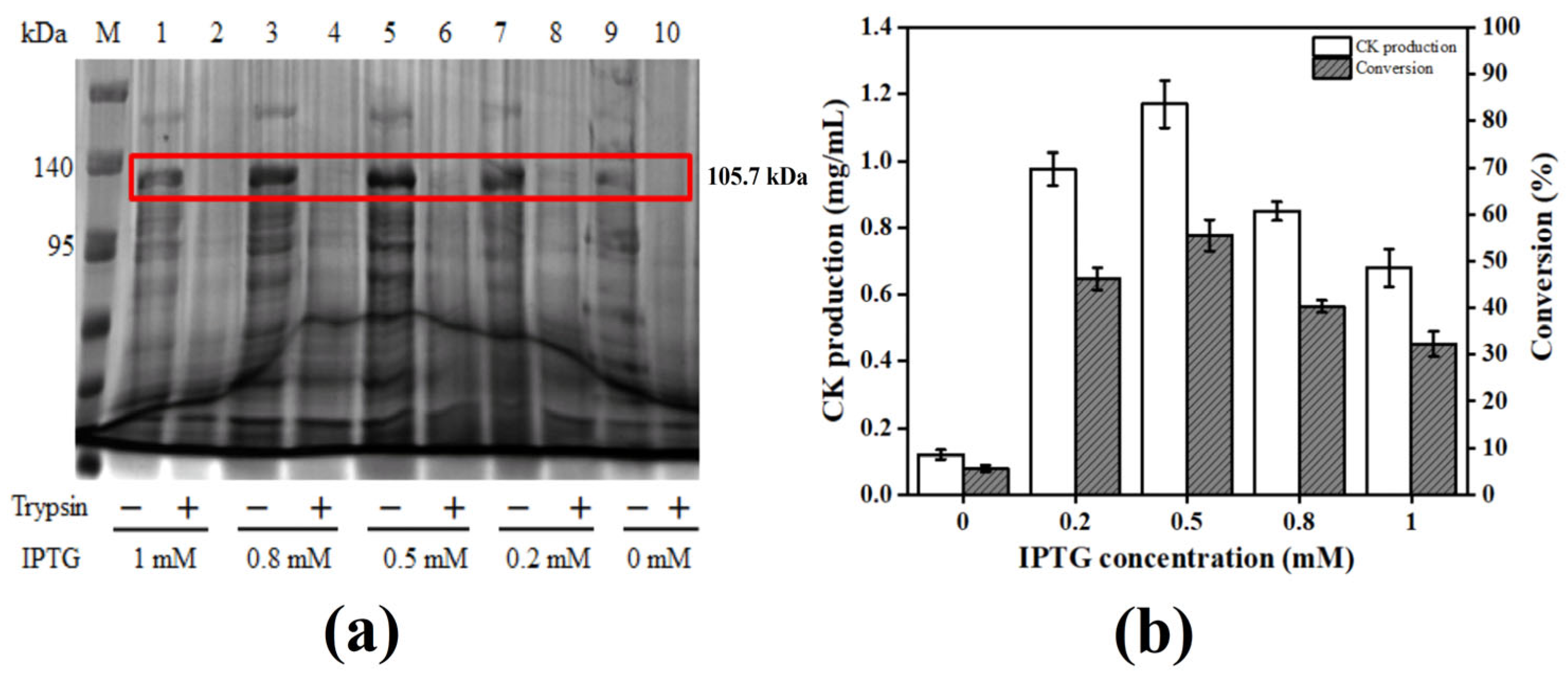 Catalysts 13 01375 g003