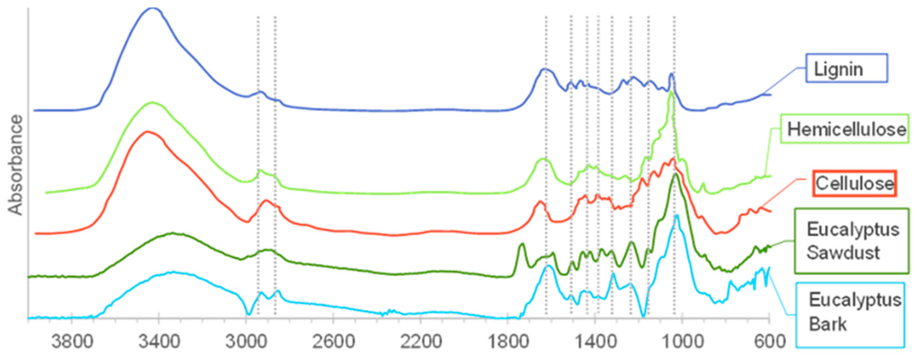 Catalysts 13 01379 g001