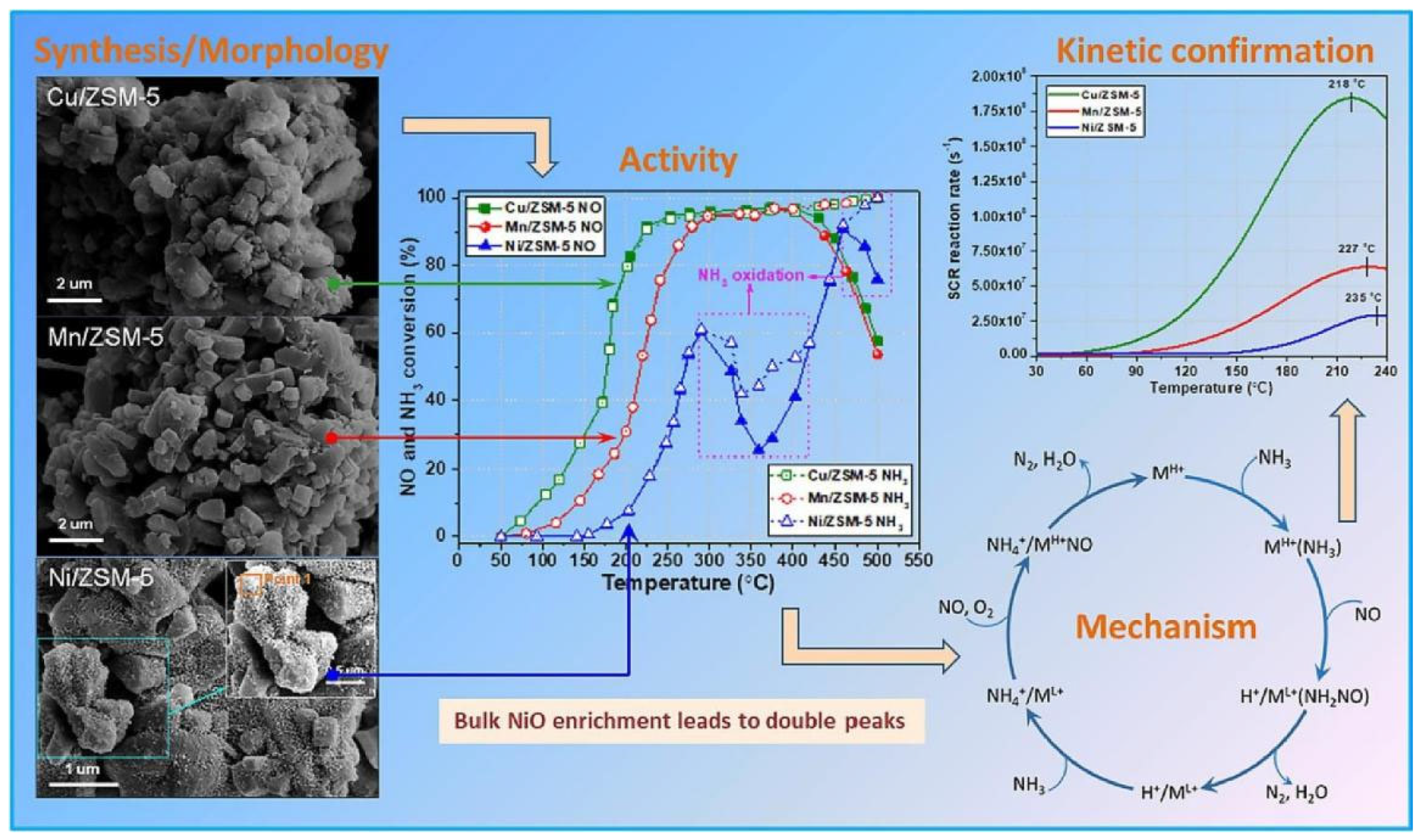Catalysts 13 01381 g004