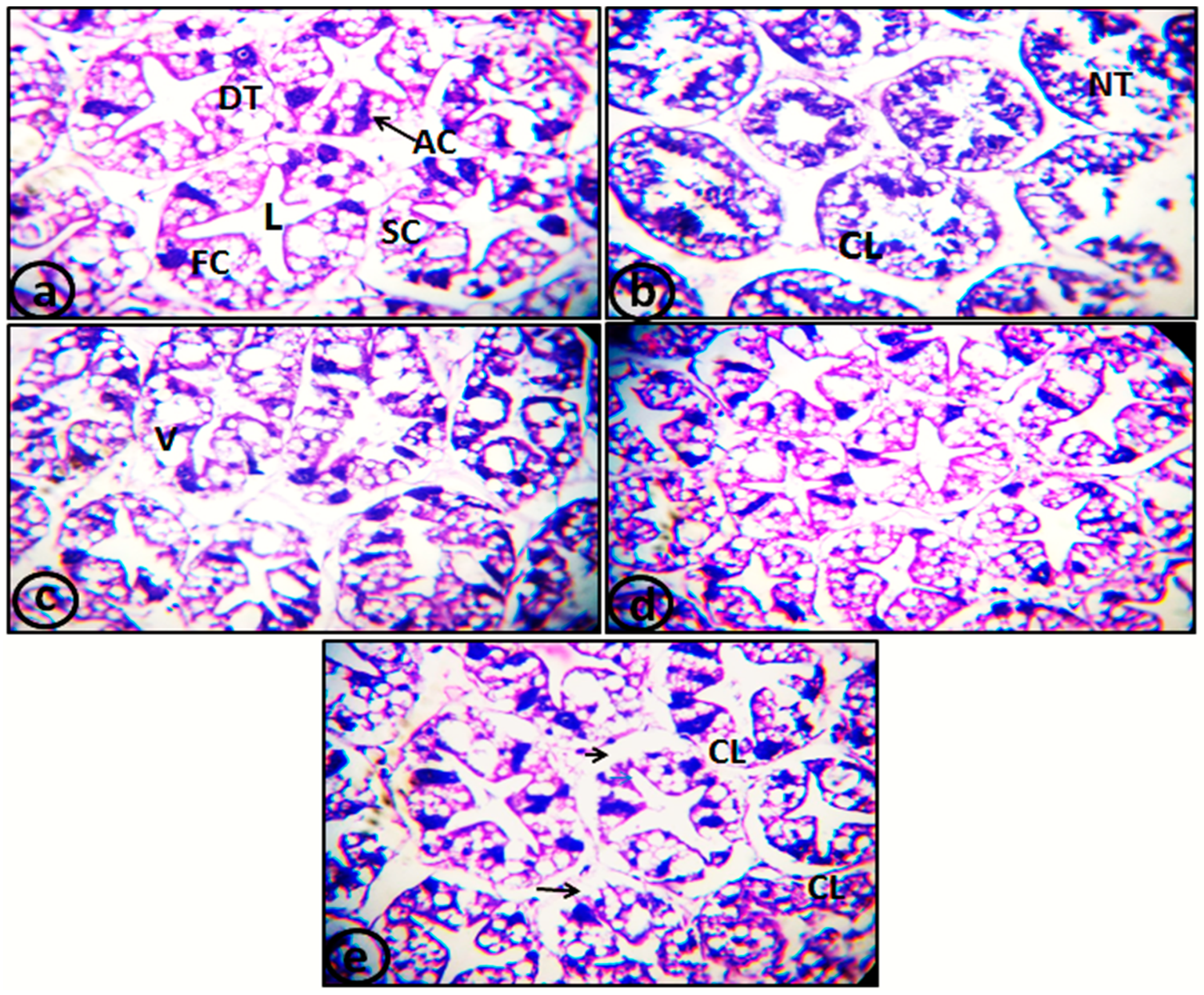Catalysts 13 01389 g001