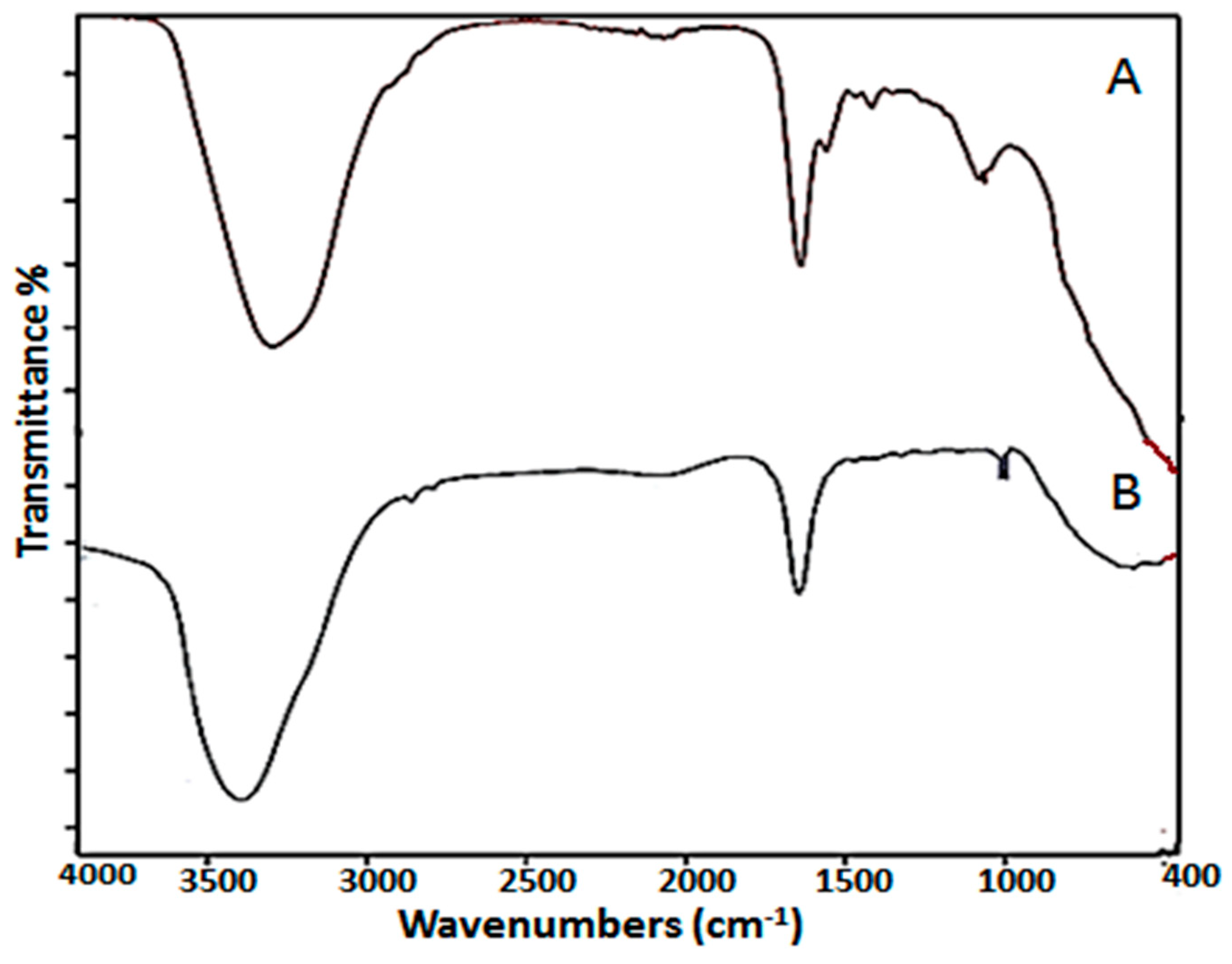 Catalysts 13 01389 g003