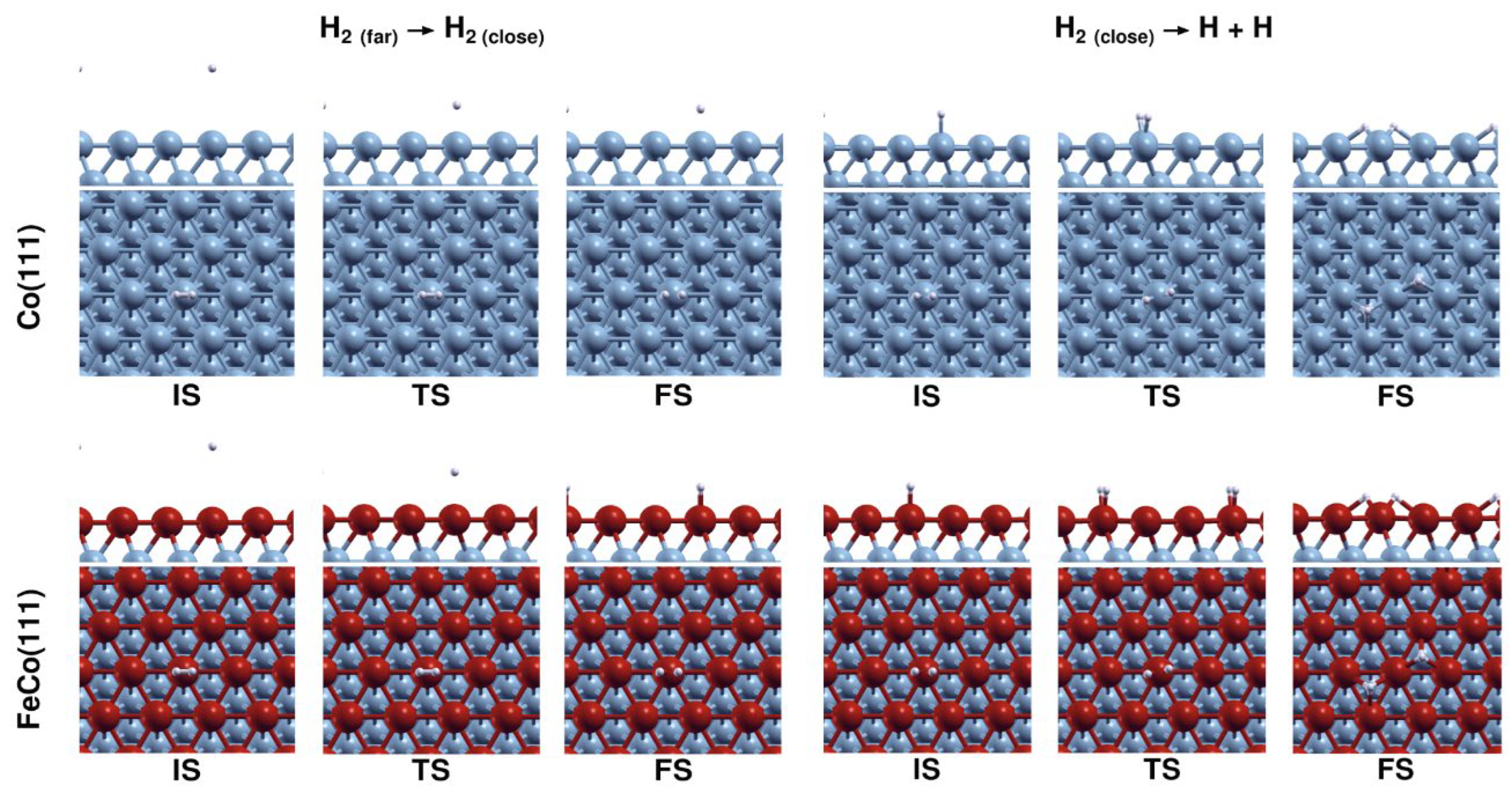 Catalysts 13 01390 g003