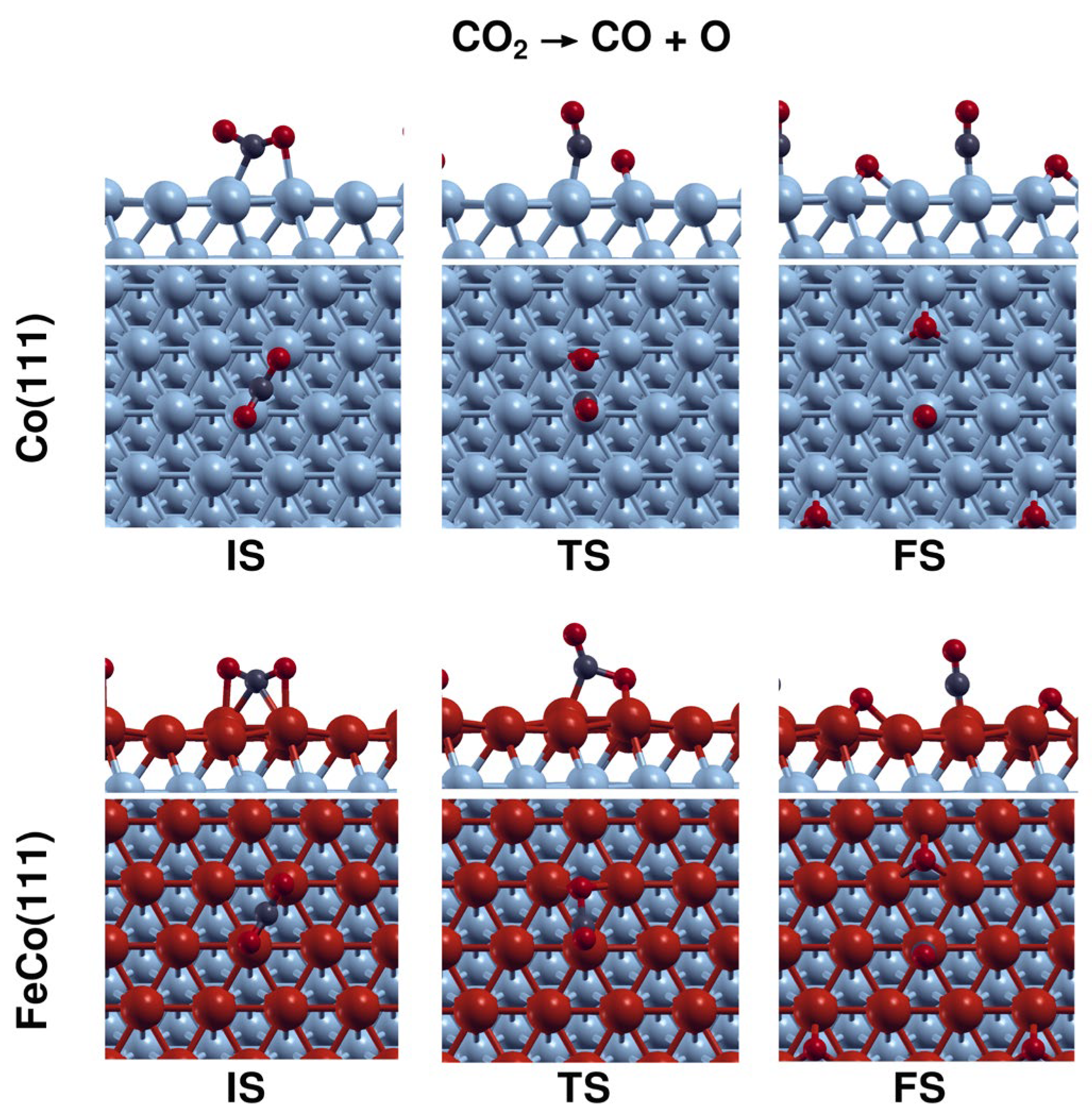 Catalysts 13 01390 g005