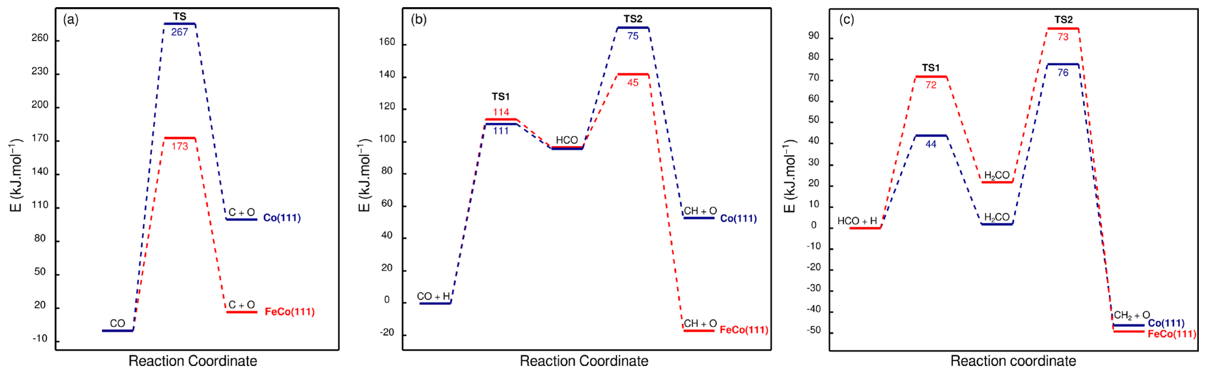 Catalysts 13 01390 g008