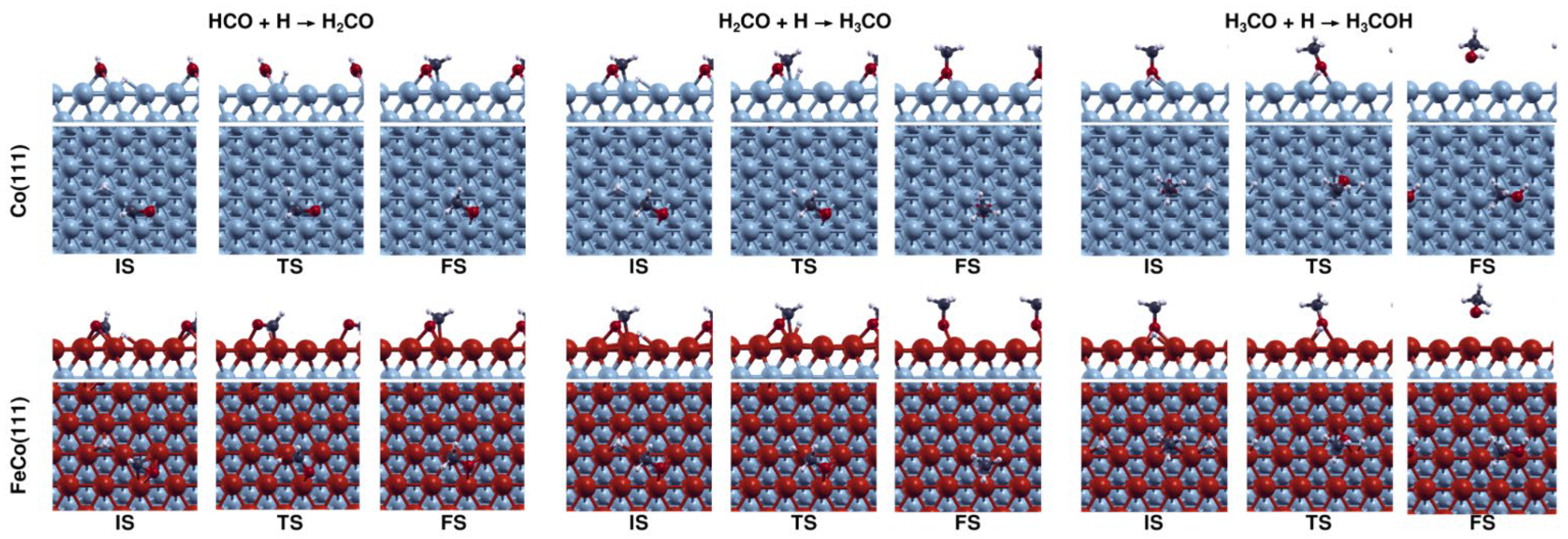 Catalysts 13 01390 g016