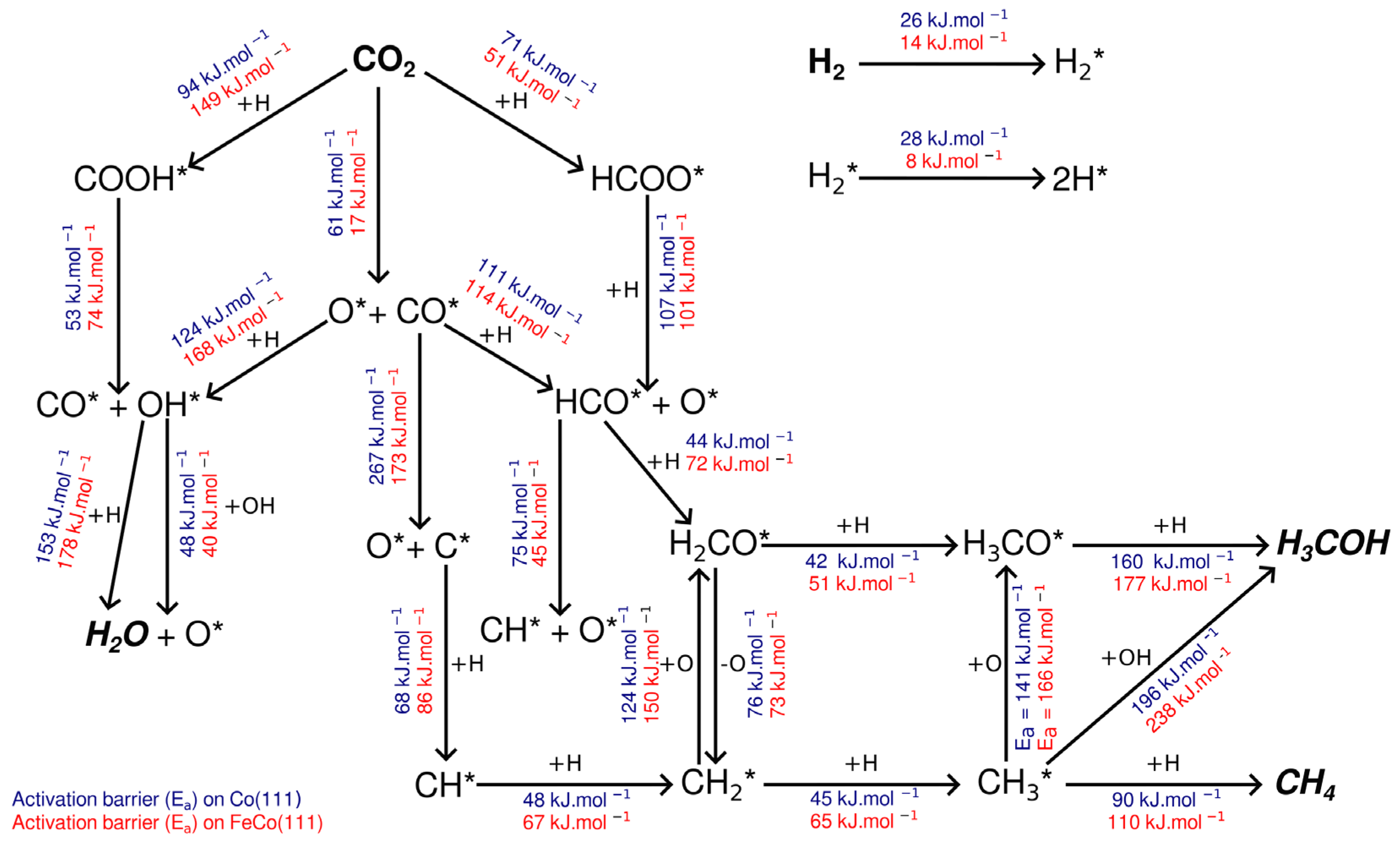 Catalysts 13 01390 g017