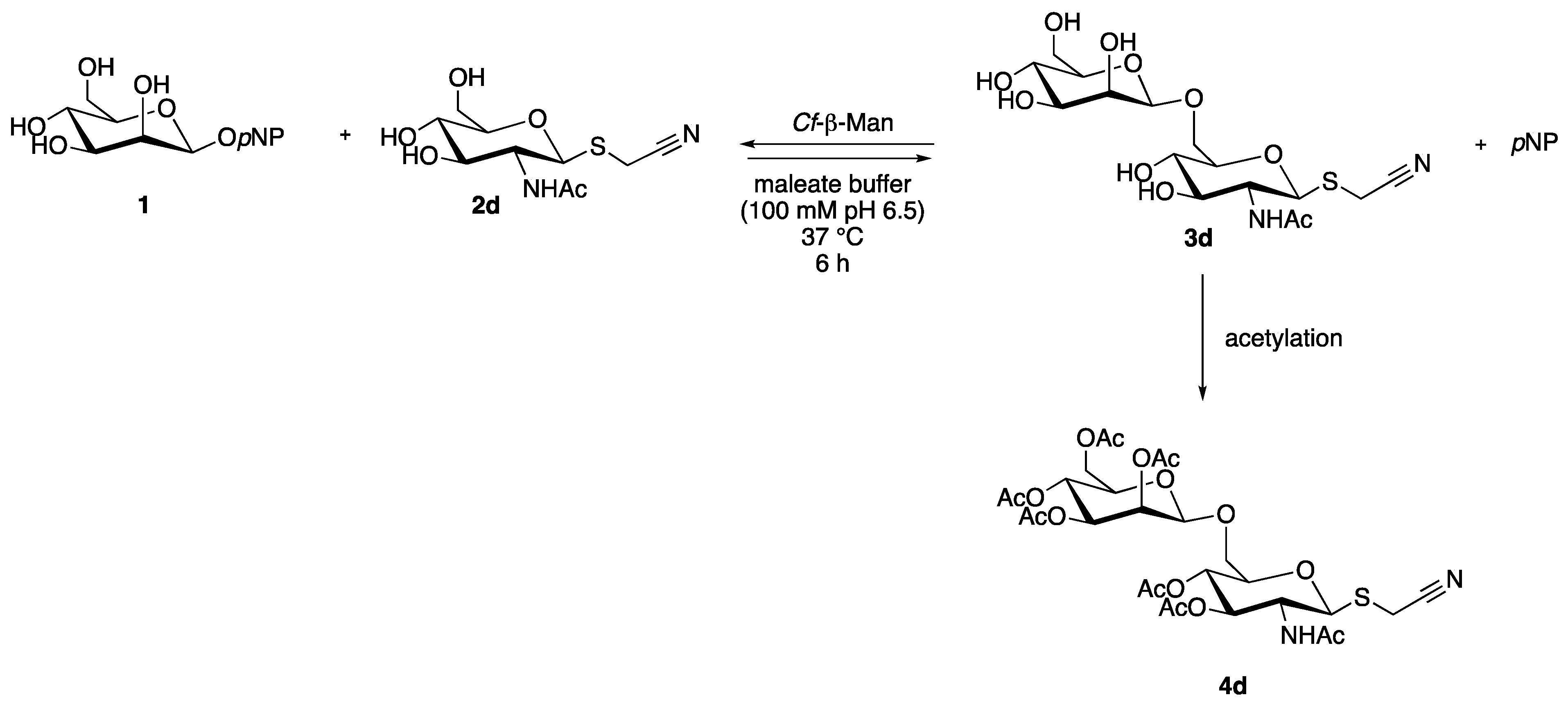 Catalysts 13 01399 sch002