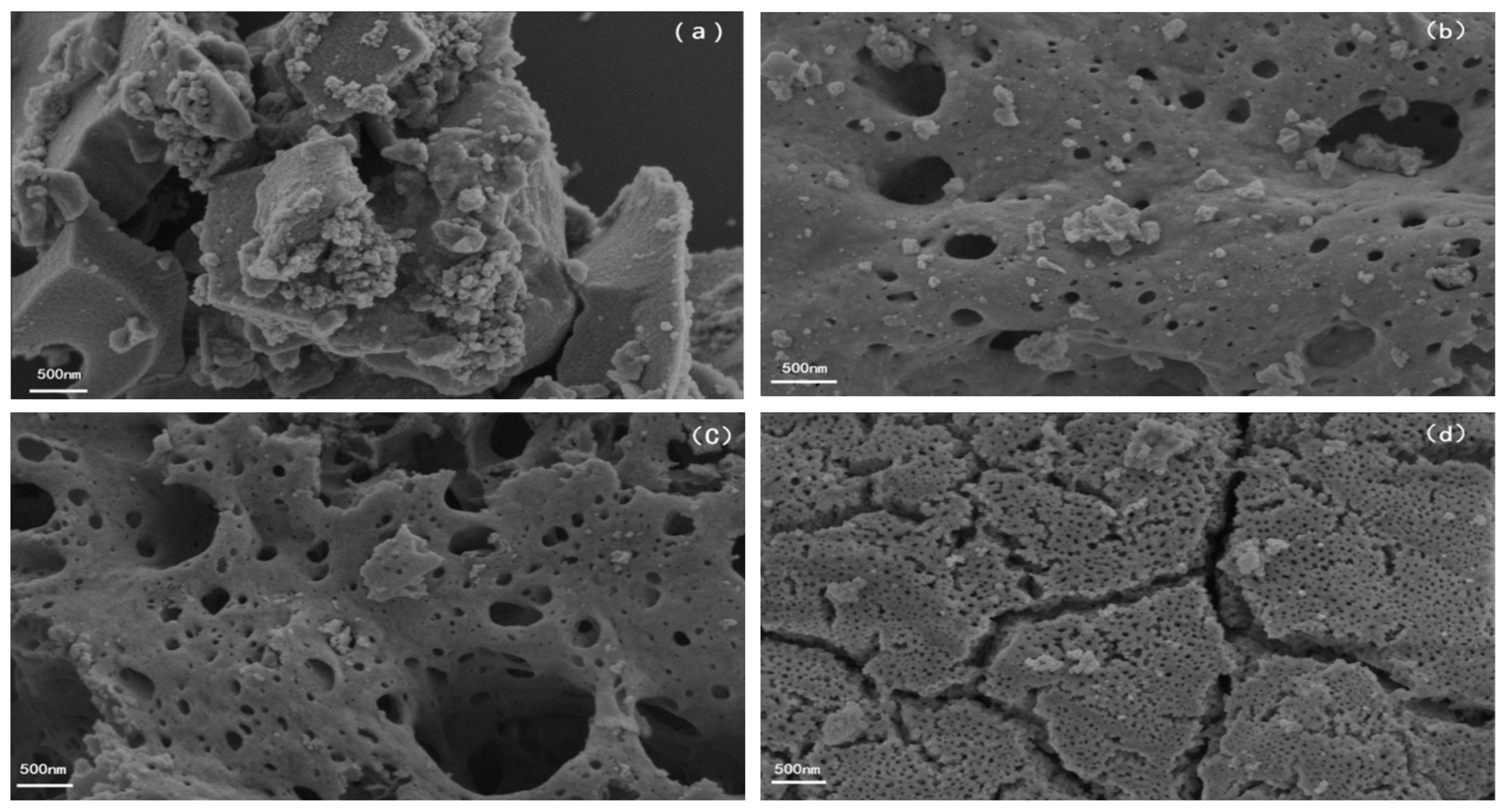 Catalysts 13 01400 g002