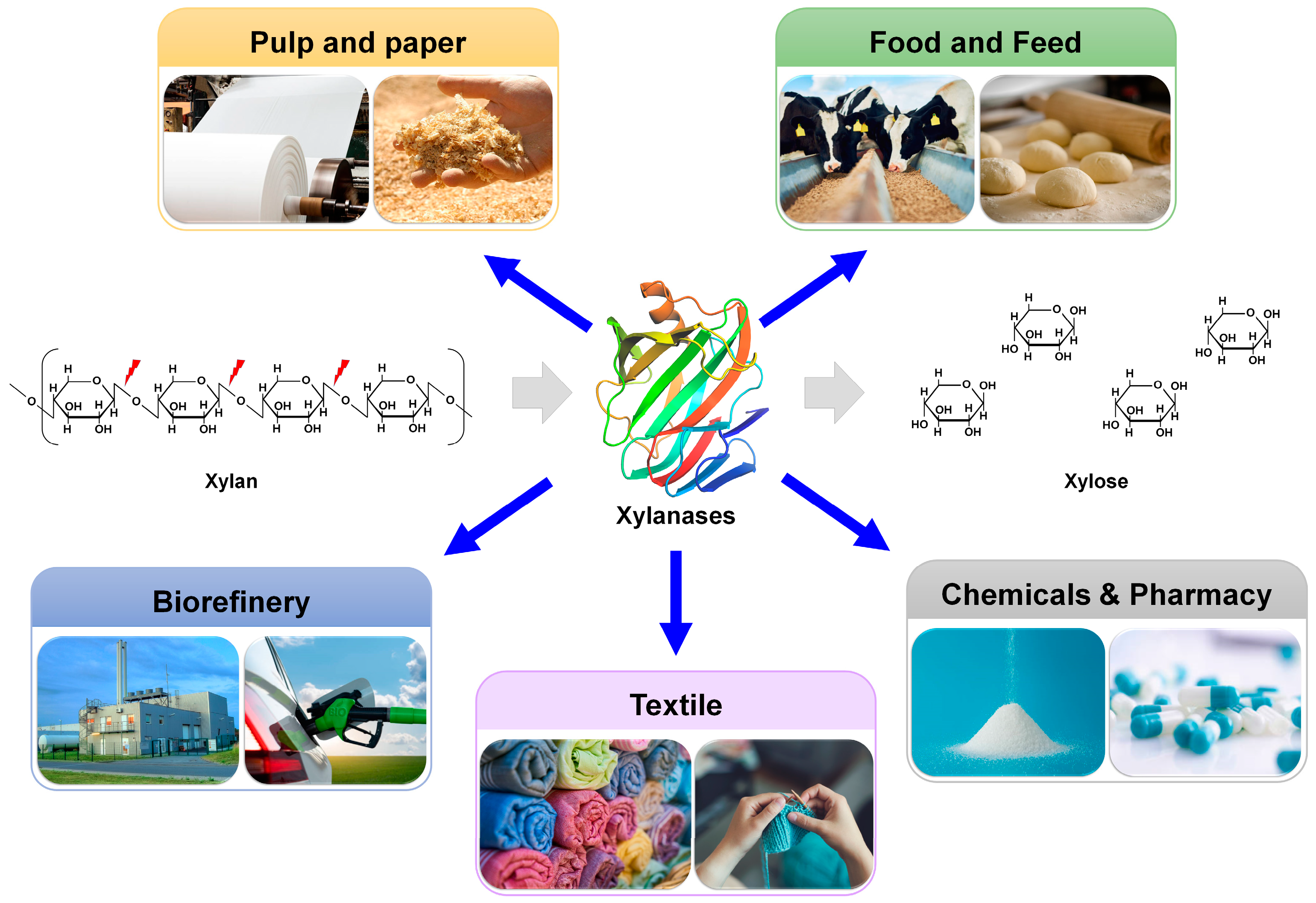 Catalysts 13 01405 g001