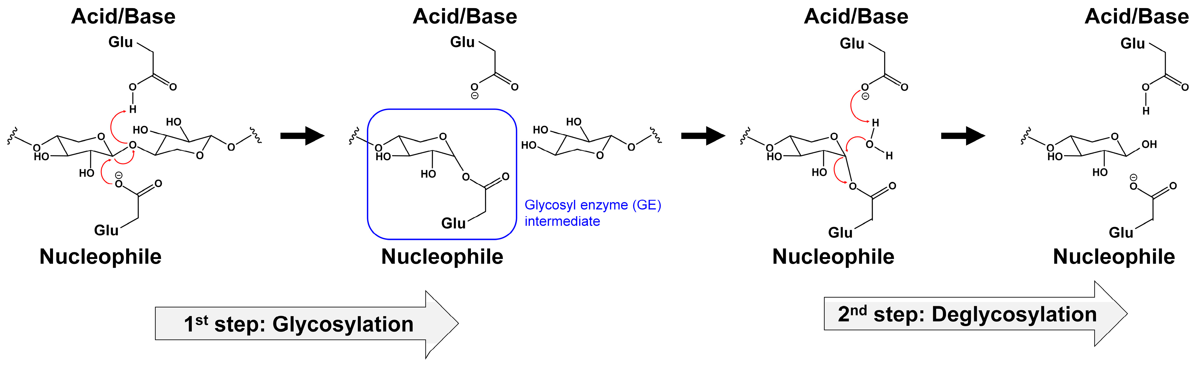 Catalysts 13 01405 g002