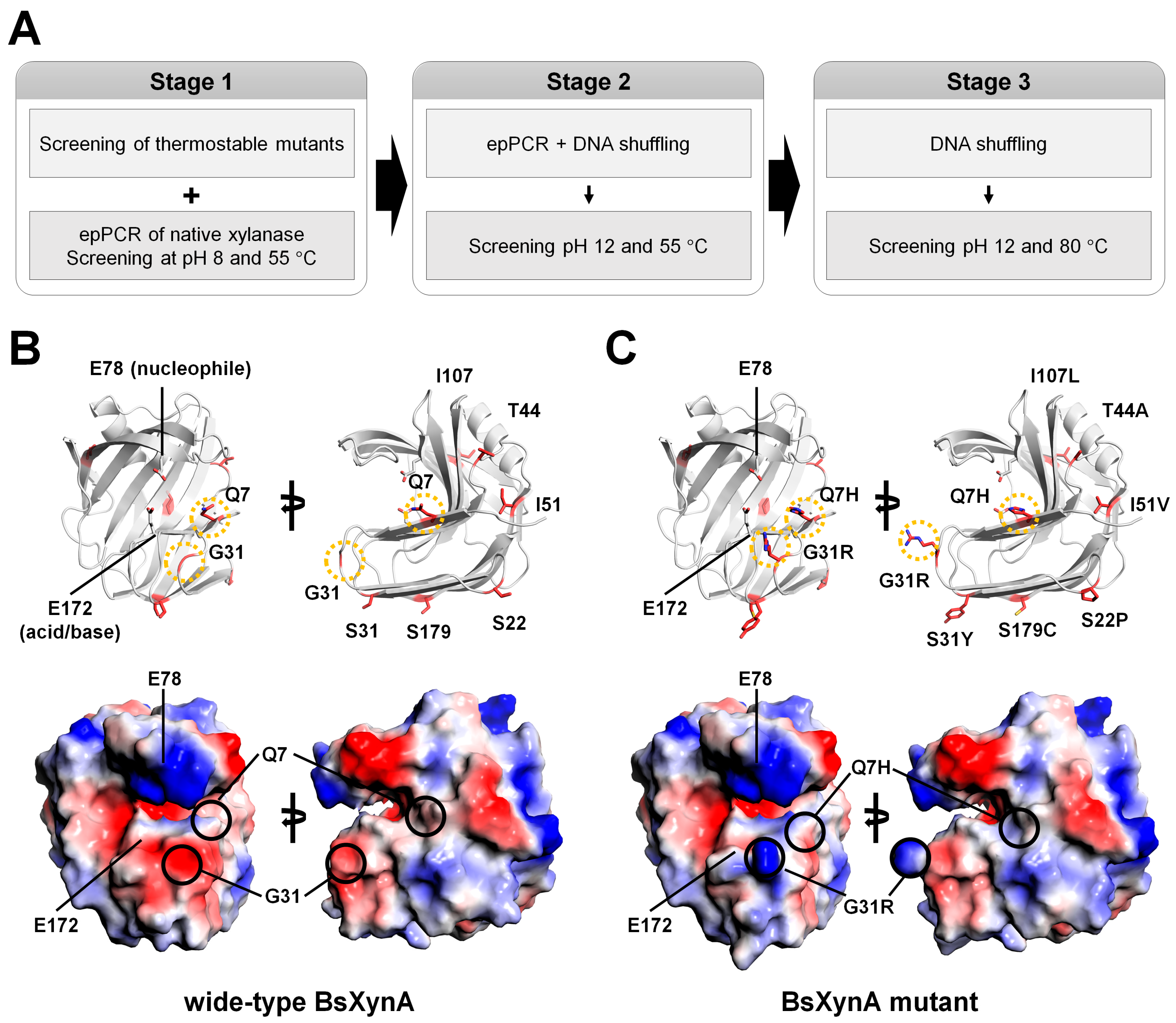 Catalysts 13 01405 g004