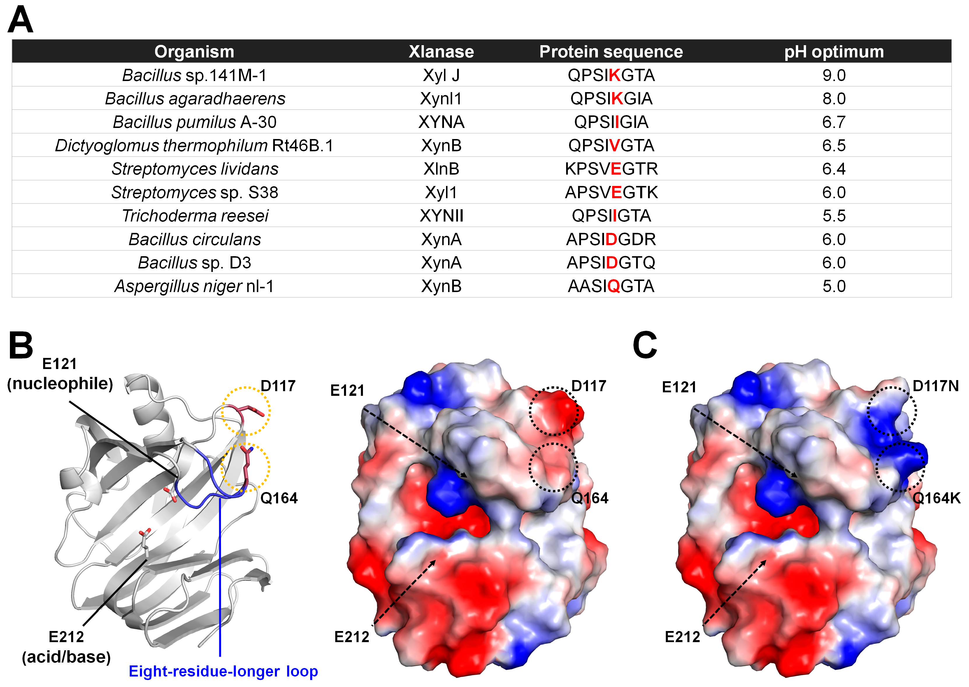 Catalysts 13 01405 g006
