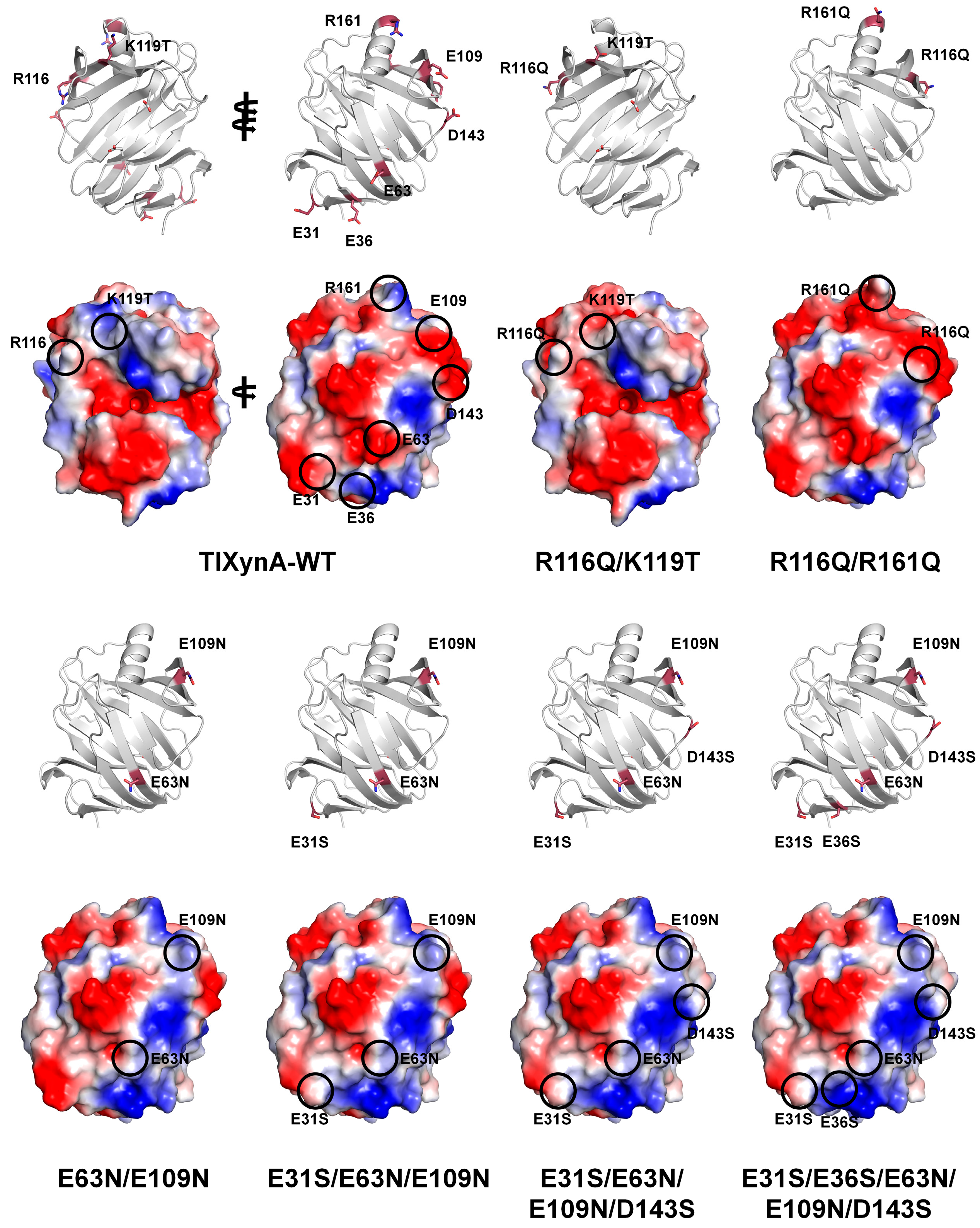Catalysts 13 01405 g007