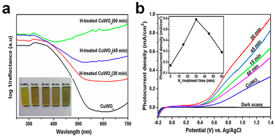 Catalysts 13 01408 g006