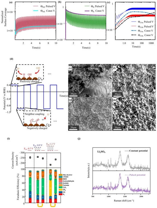 Catalysts 13 01410 g005