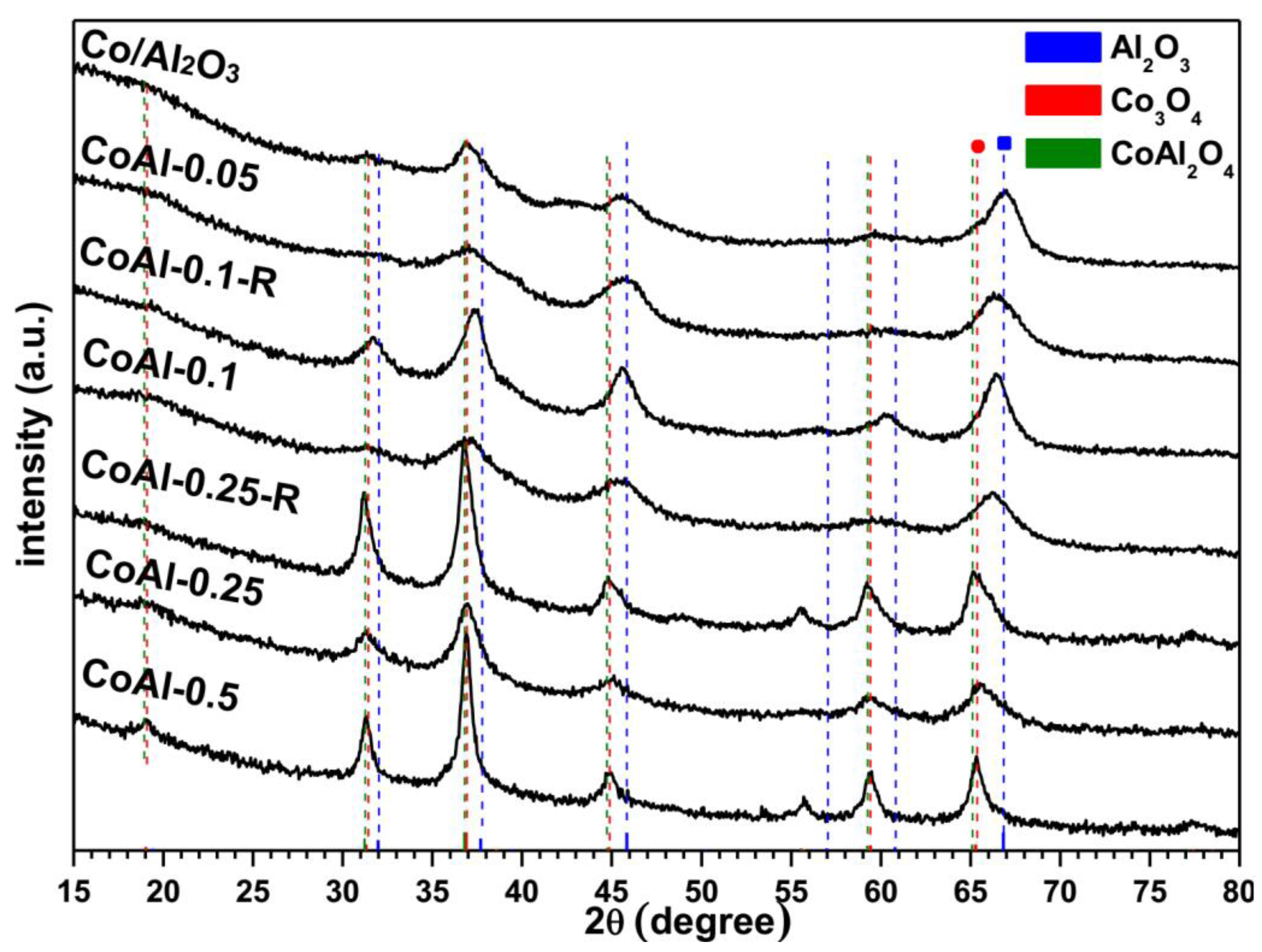 Catalysts 13 01419 g001
