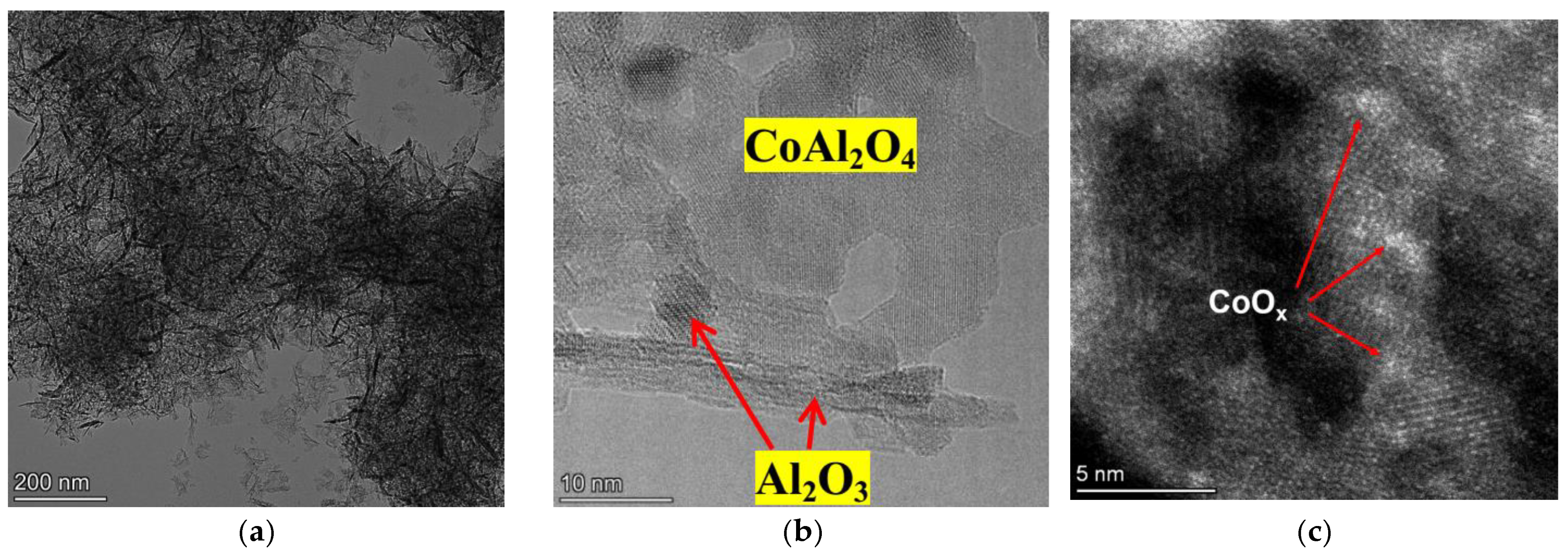 Catalysts 13 01419 g003a