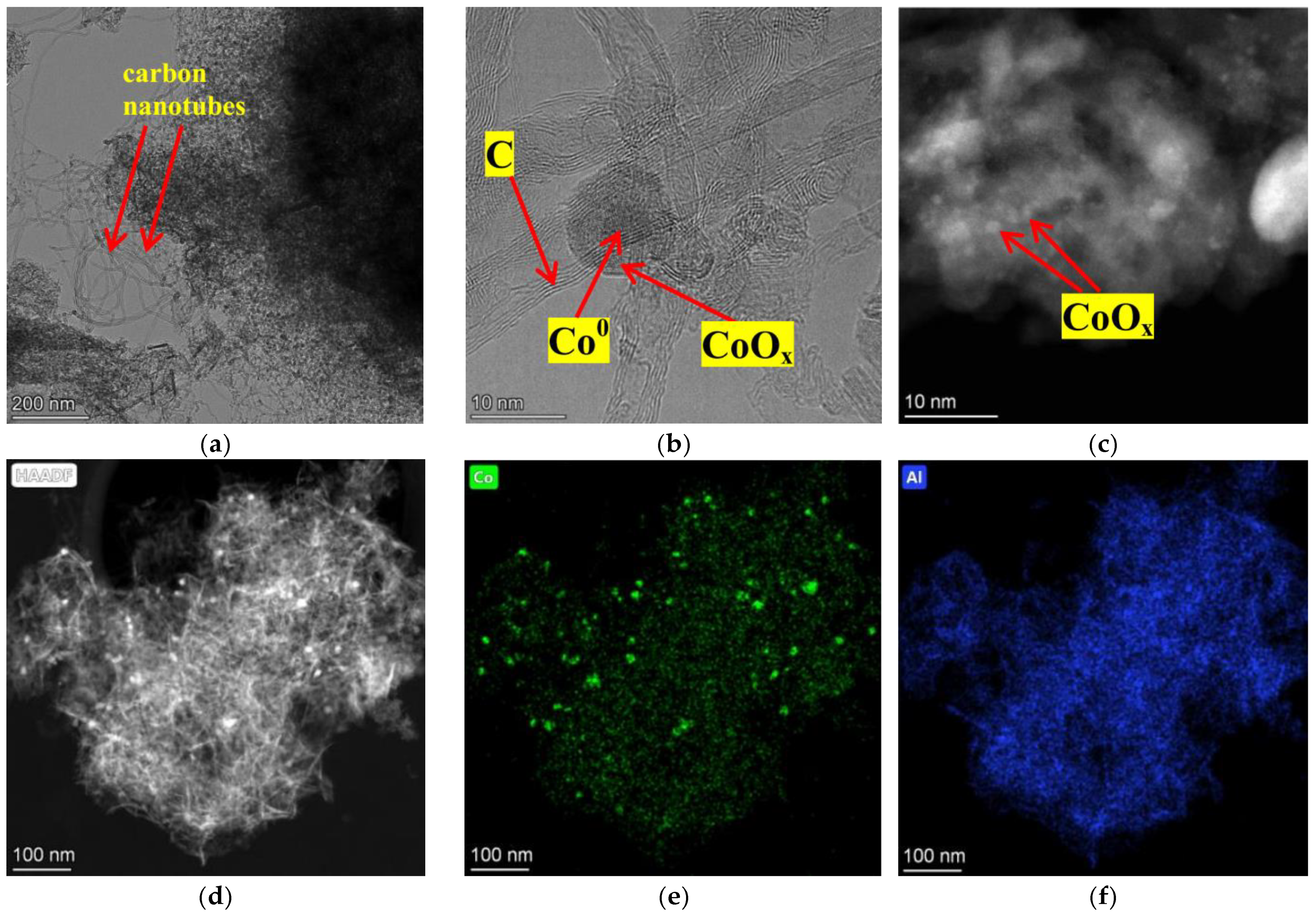 Catalysts 13 01419 g009