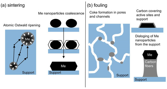 Catalysts 13 01421 g006