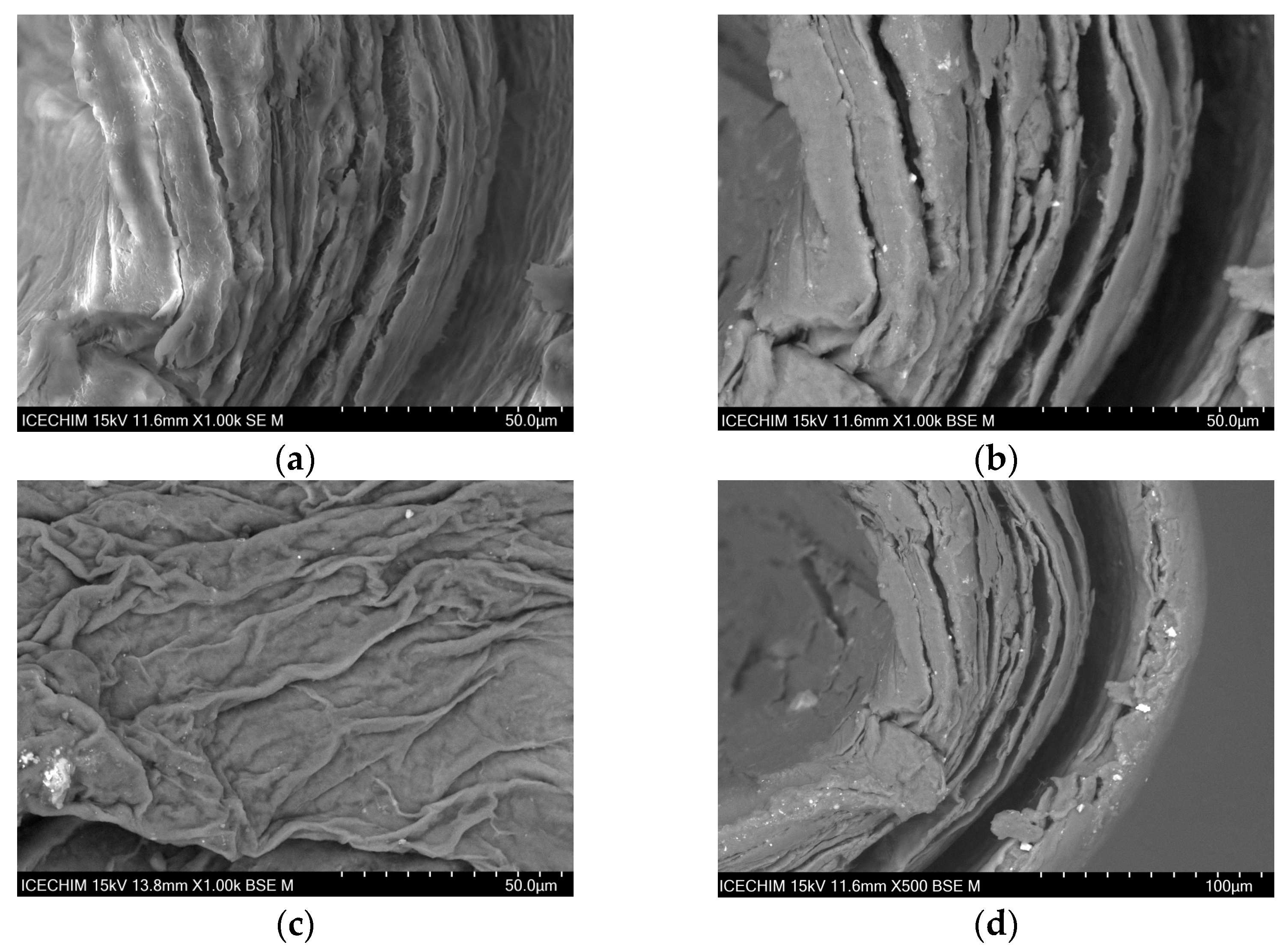 Catalysts 13 01431 g001 Catalysts 13 01431 g001