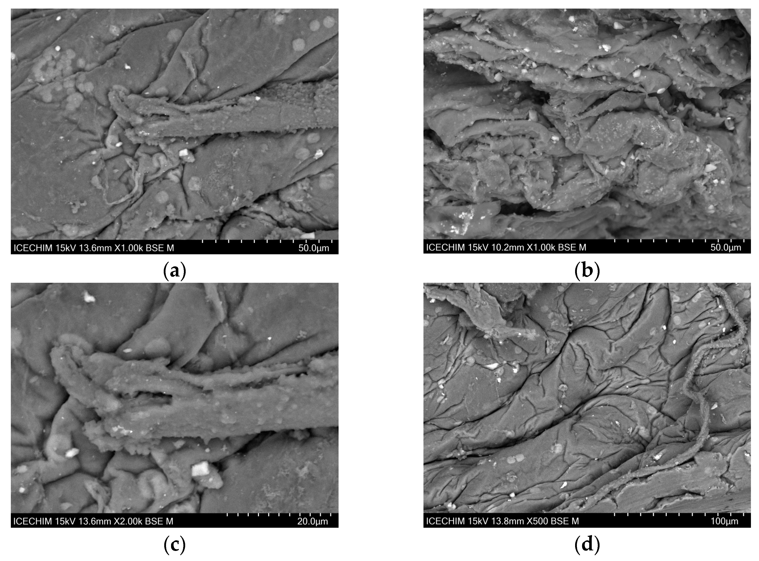 Catalysts 13 01431 g002 Catalysts 13 01431 g002