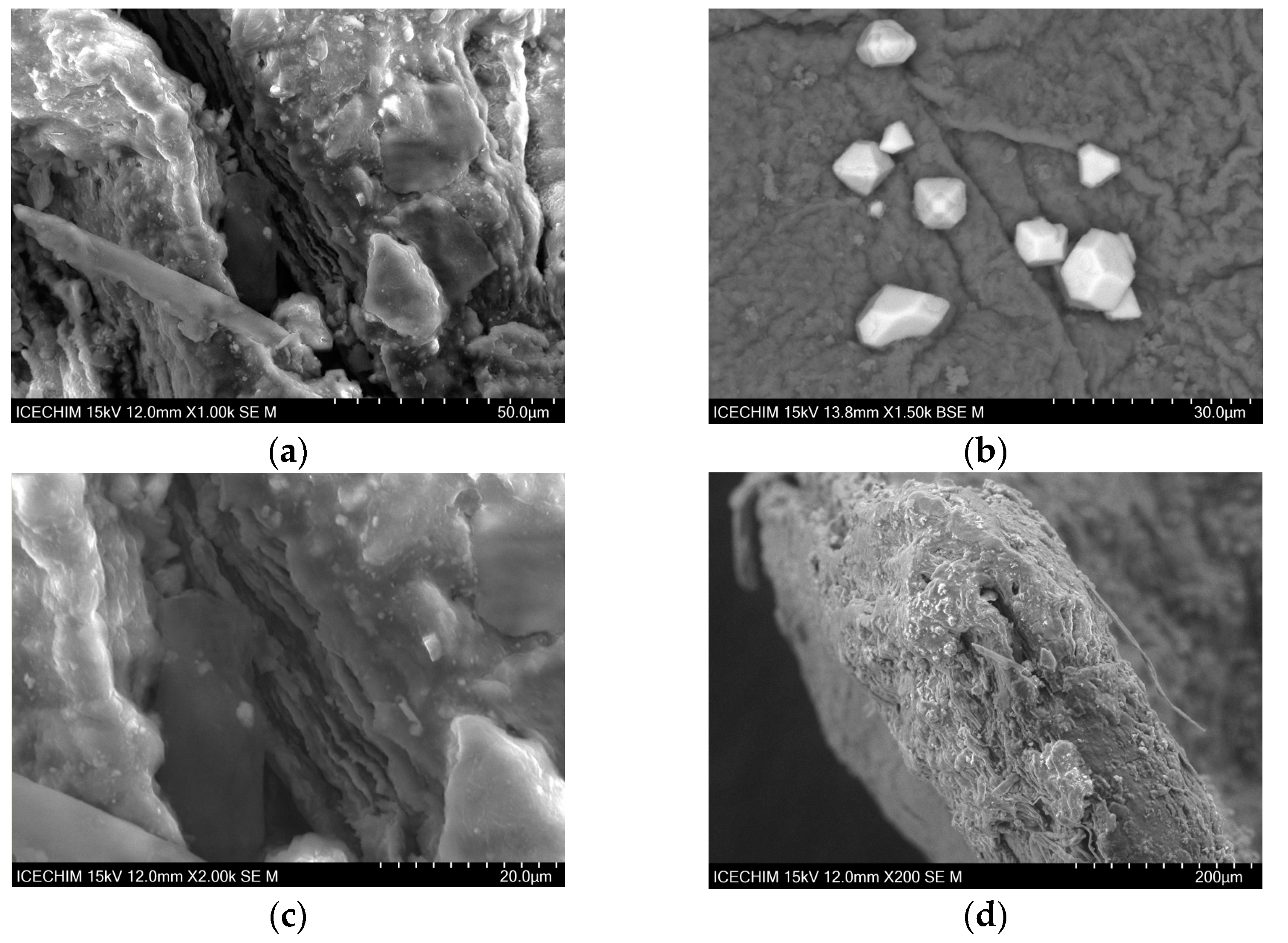 Catalysts 13 01431 g003 Catalysts 13 01431 g003