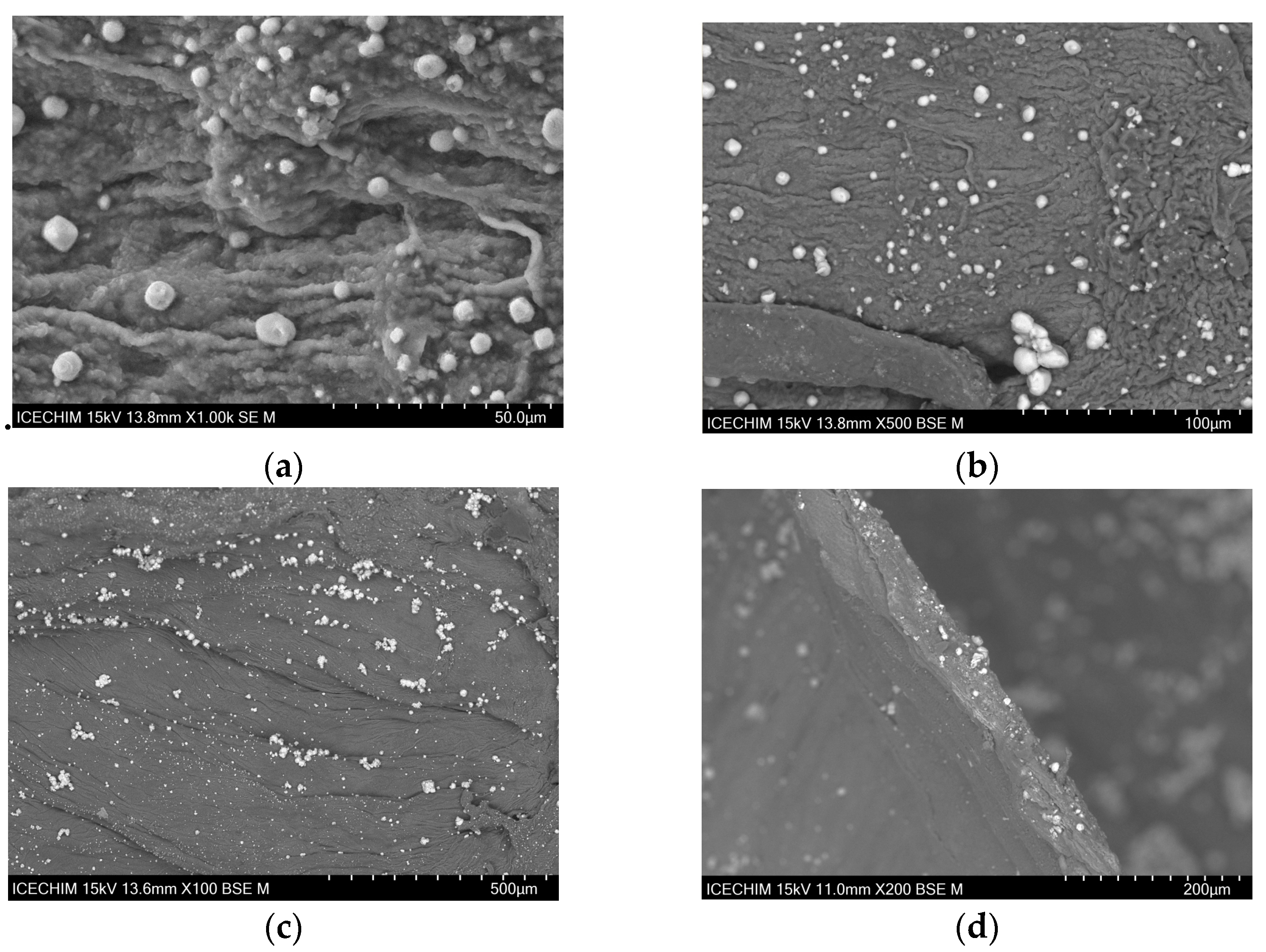 Catalysts 13 01431 g004 Catalysts 13 01431 g004